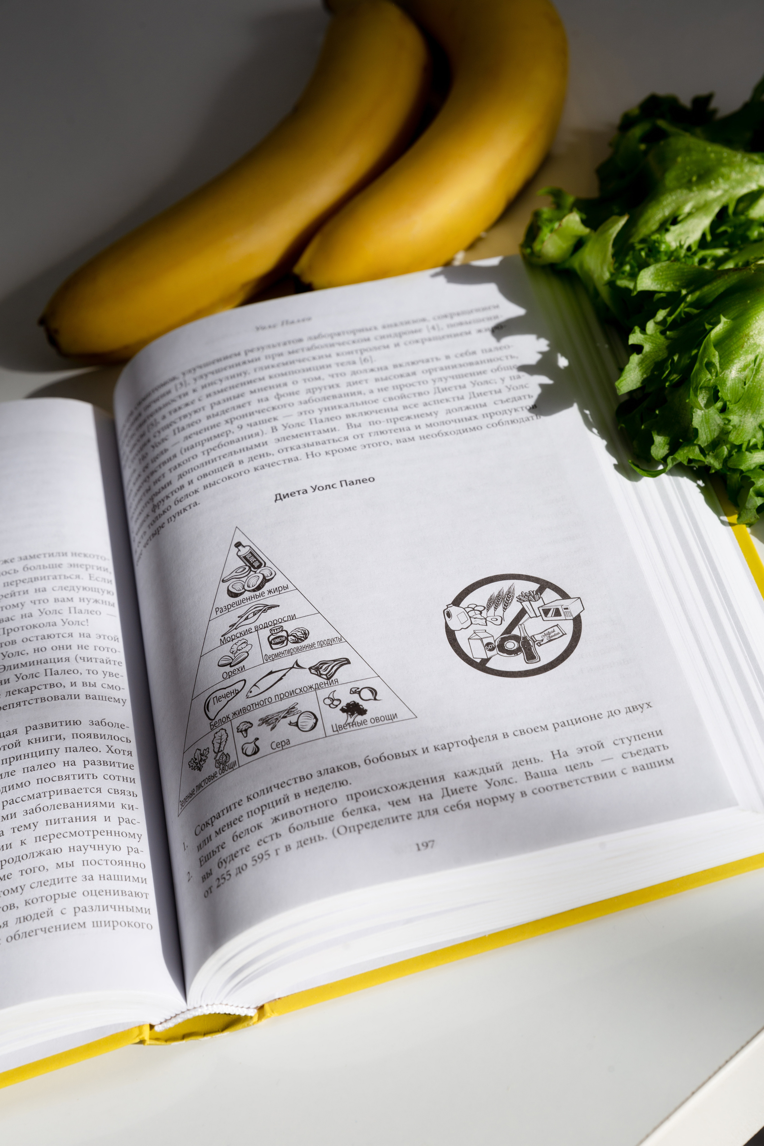 Нутрициолог. Фотограф в Санкт-Петербурге