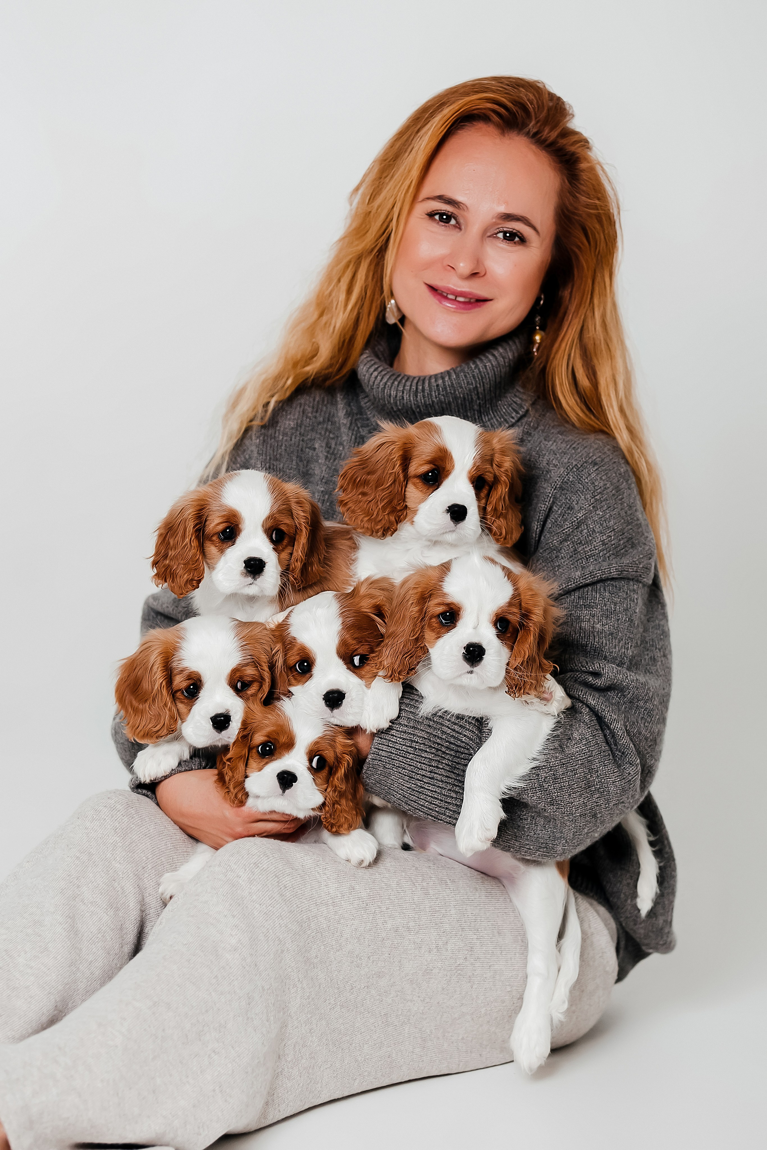 Щенки кавалера в фотостудии. Фотограф-анималист в Краснодаре Маша Мельникова