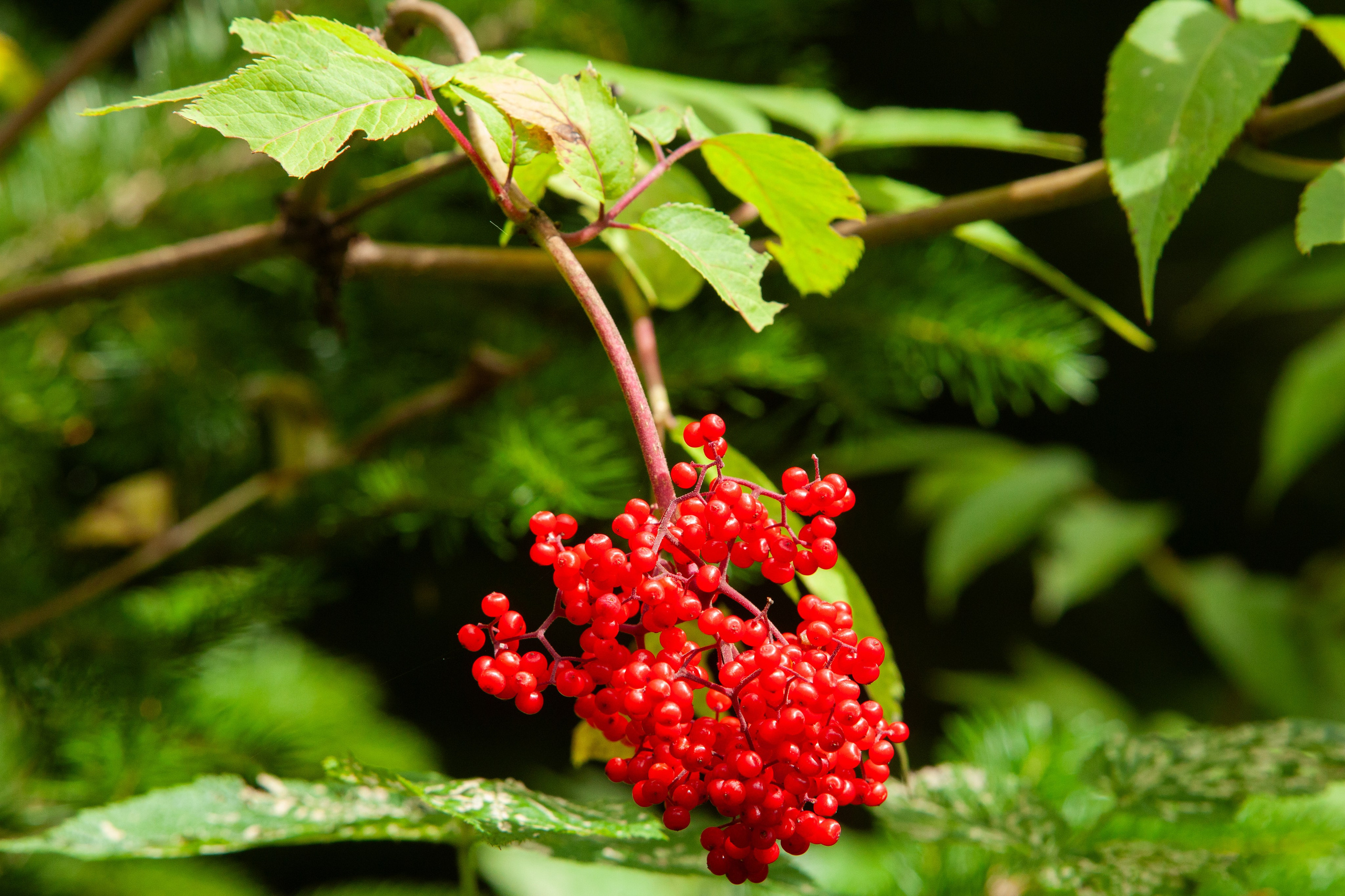 «Побег из Таркова». Кутузов Евгений Фотограф в Южно-Сахалинске