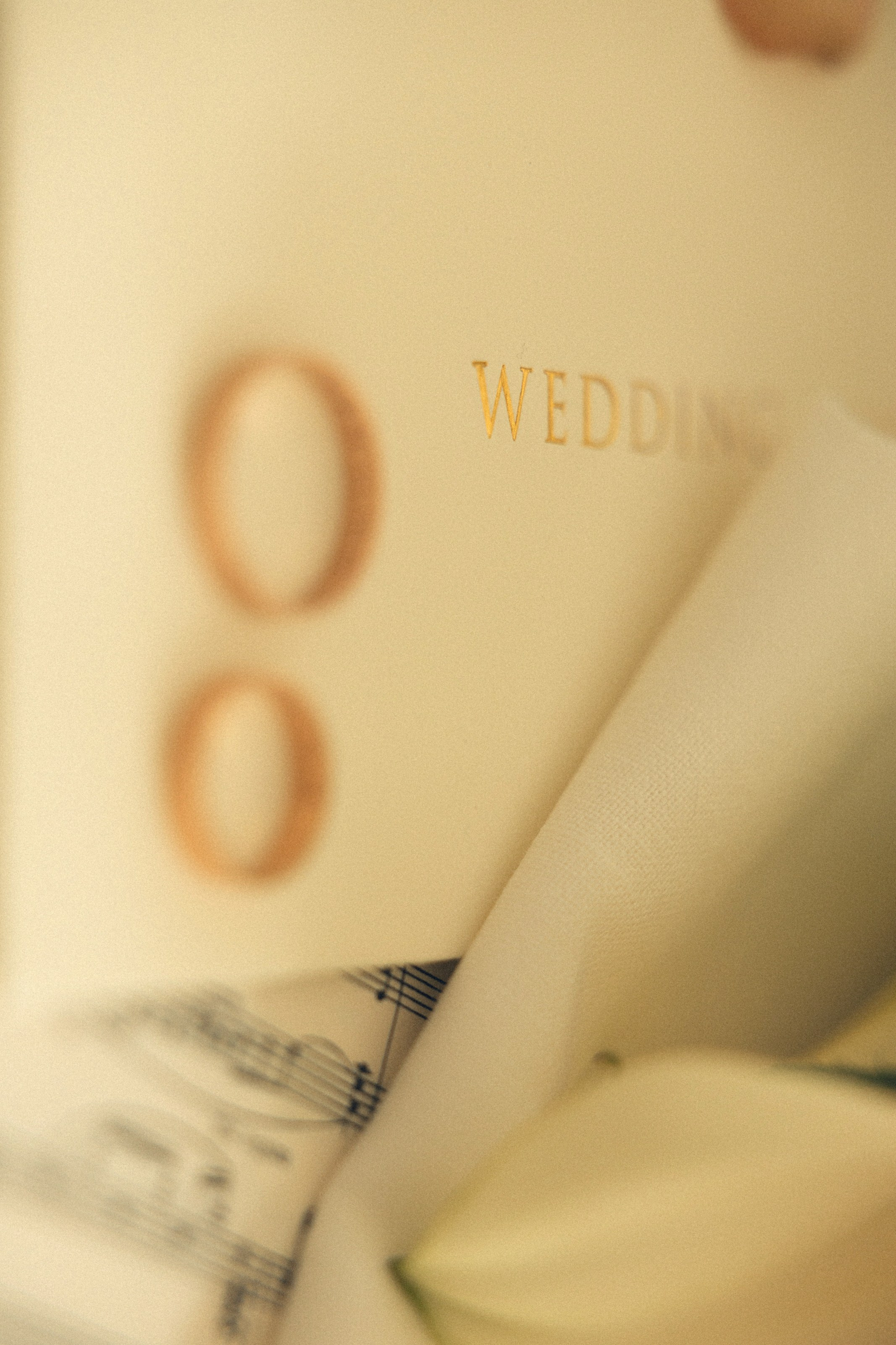 Георгий и Мария. Свадебный фотограф в Ростове — на — Дону Александра Пивоварова