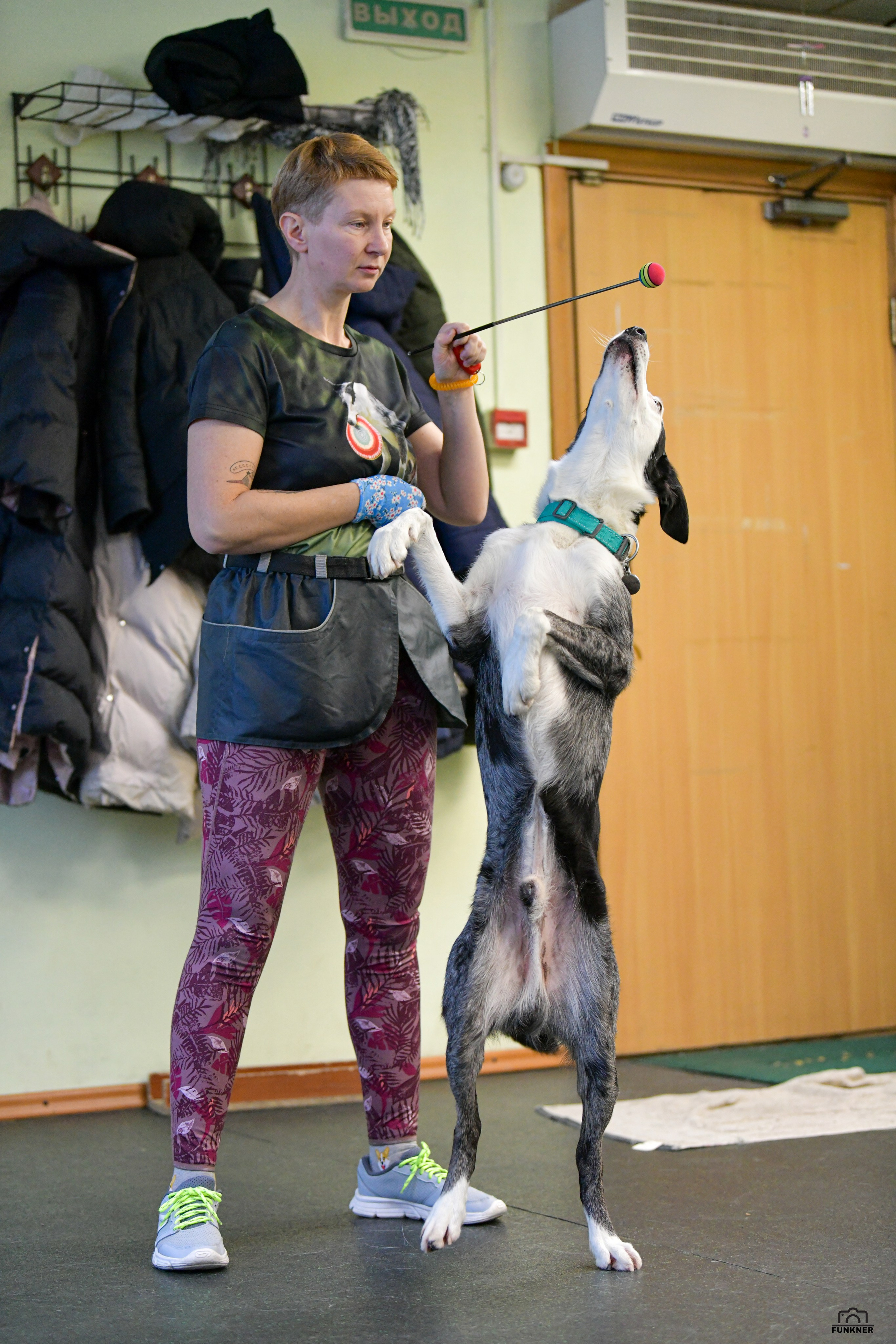 Кинологический клуб «Бодрый хвост». Свой взгляд через объектив