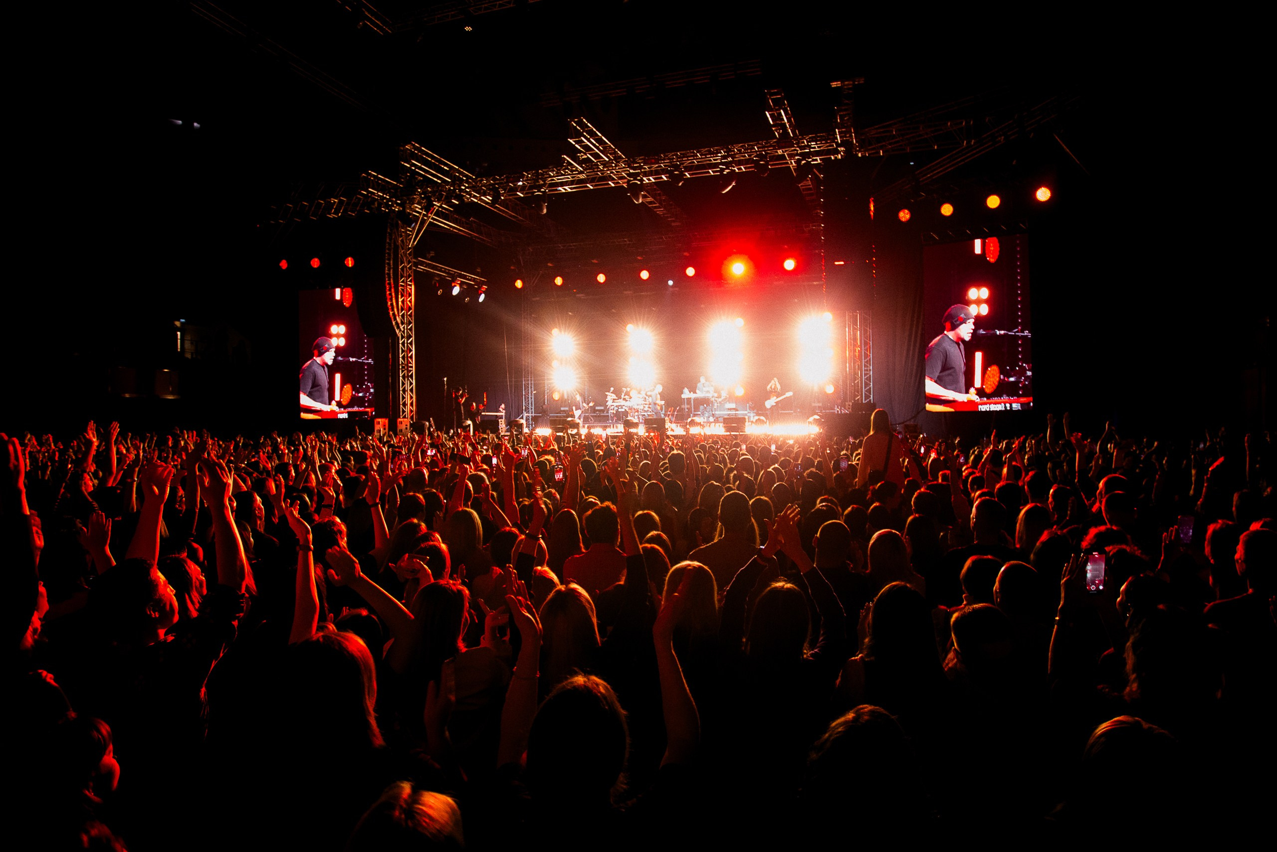 Звери 2025. Репортажный фотограф в Кемерово