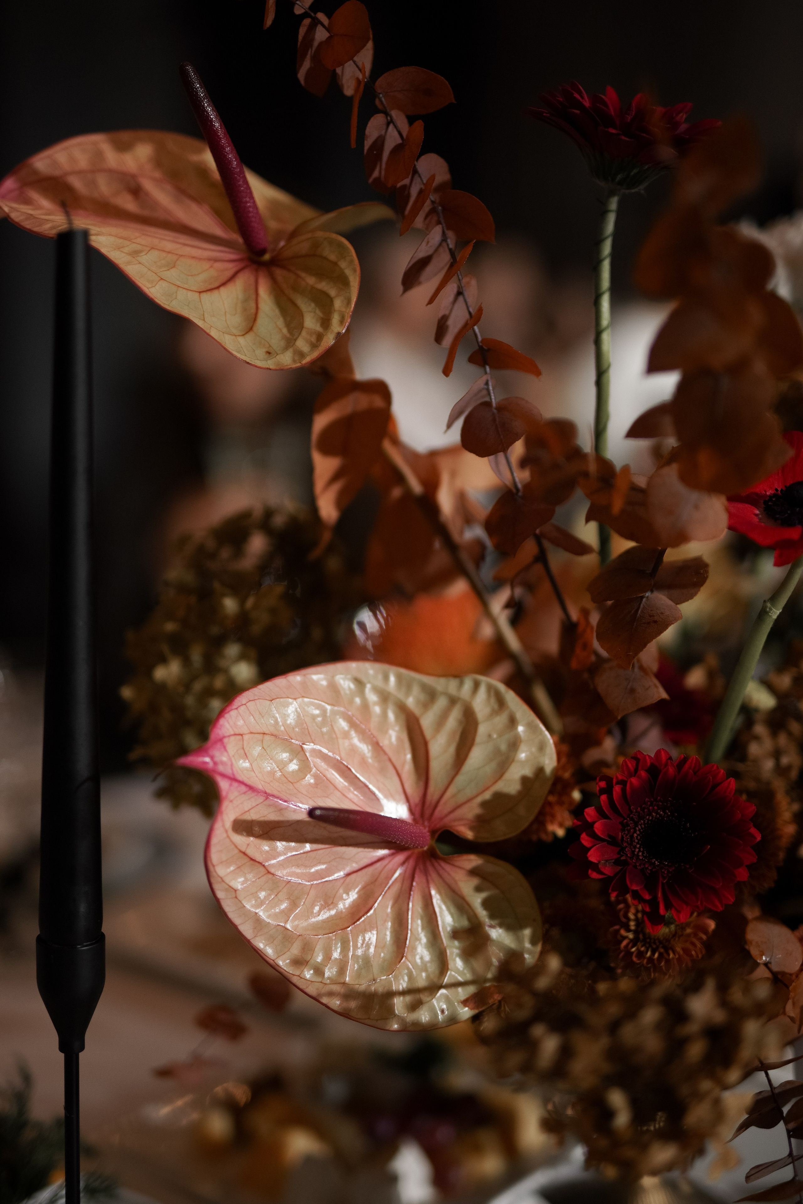 Валерия и Денис. Свадебный фотограф Марина Попова