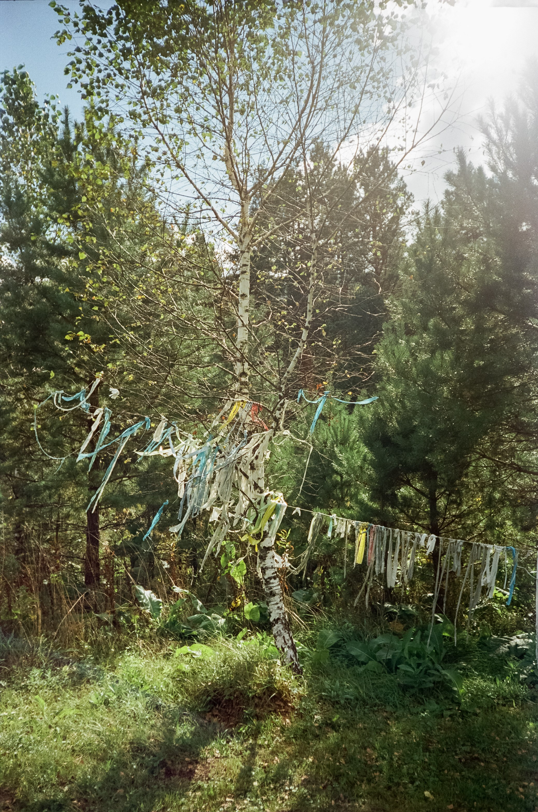 Шаманский Алтай. Фотограф-документалист Мария Осокина