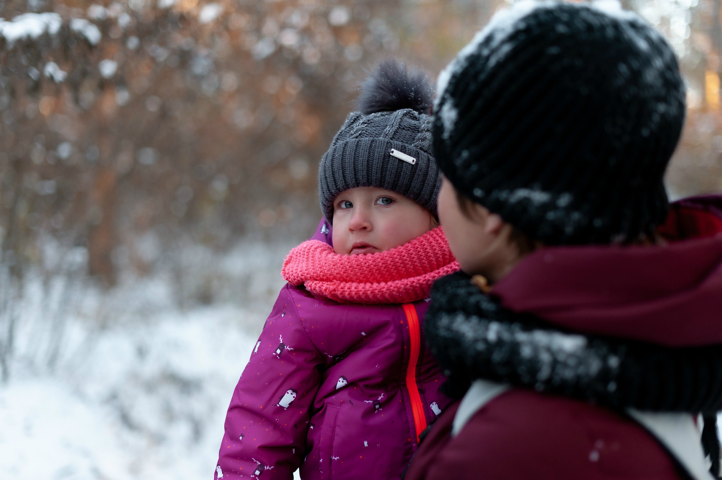 новогодняя фотосессия в лесу