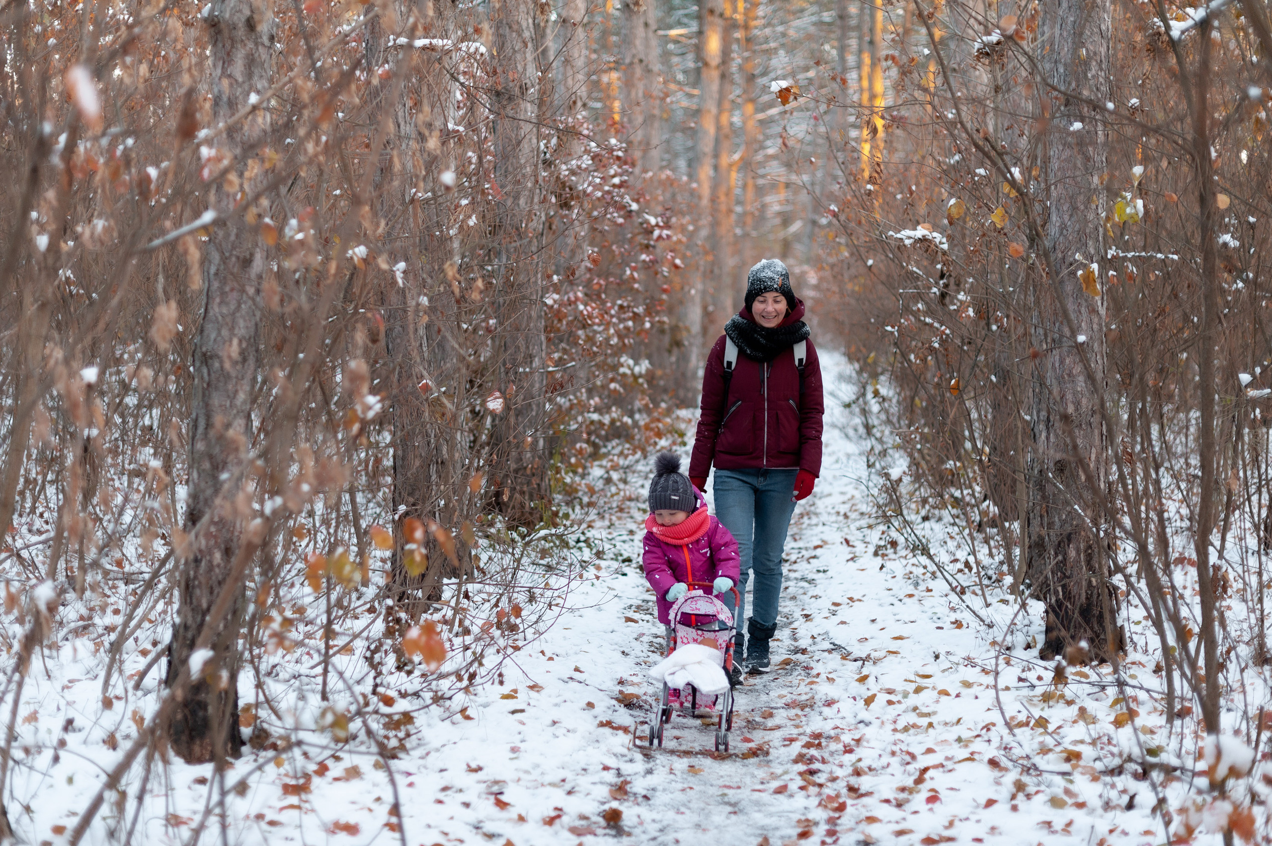 фотопрогулка в лесу