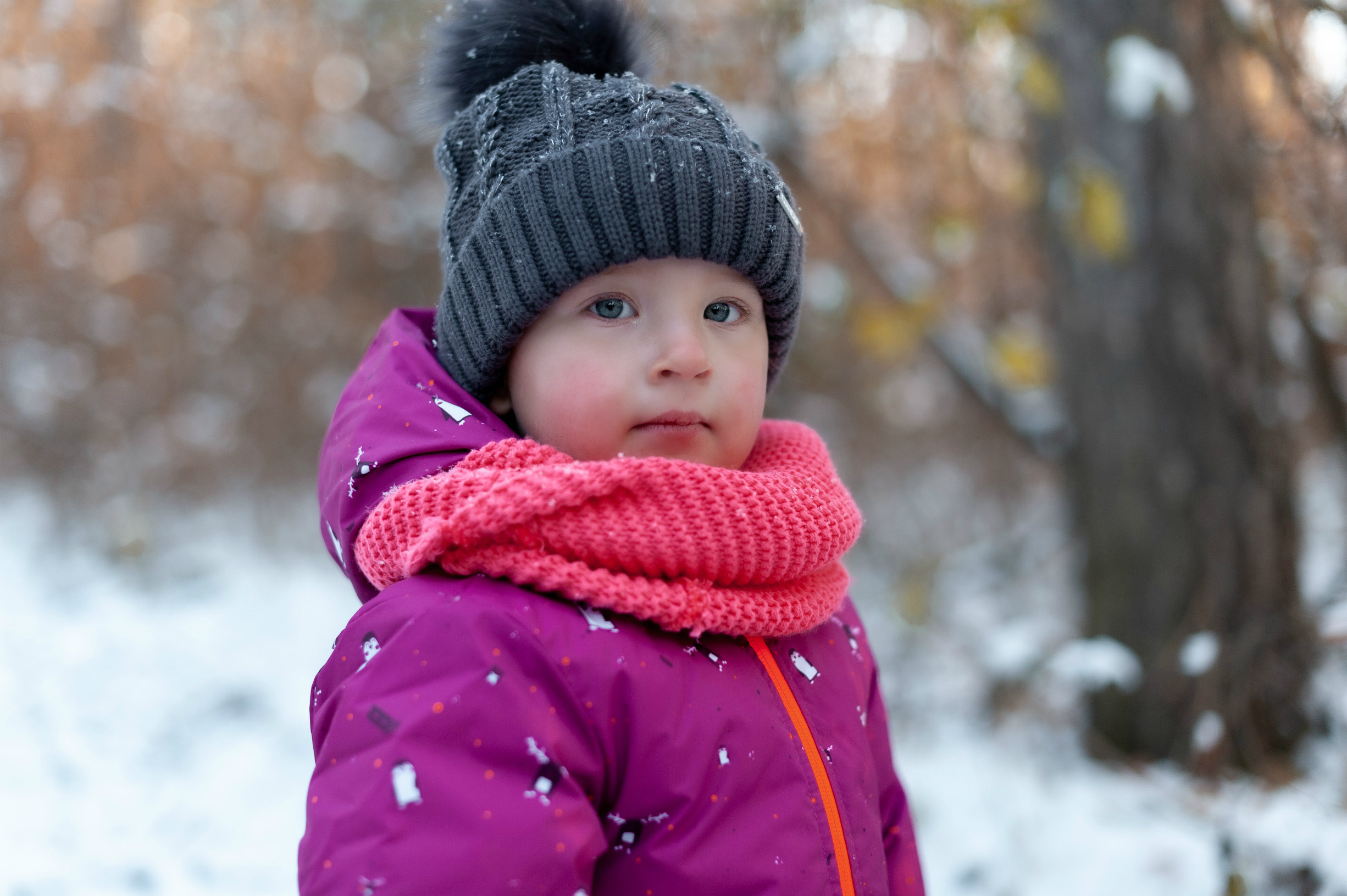 зимняя прогулка ростов