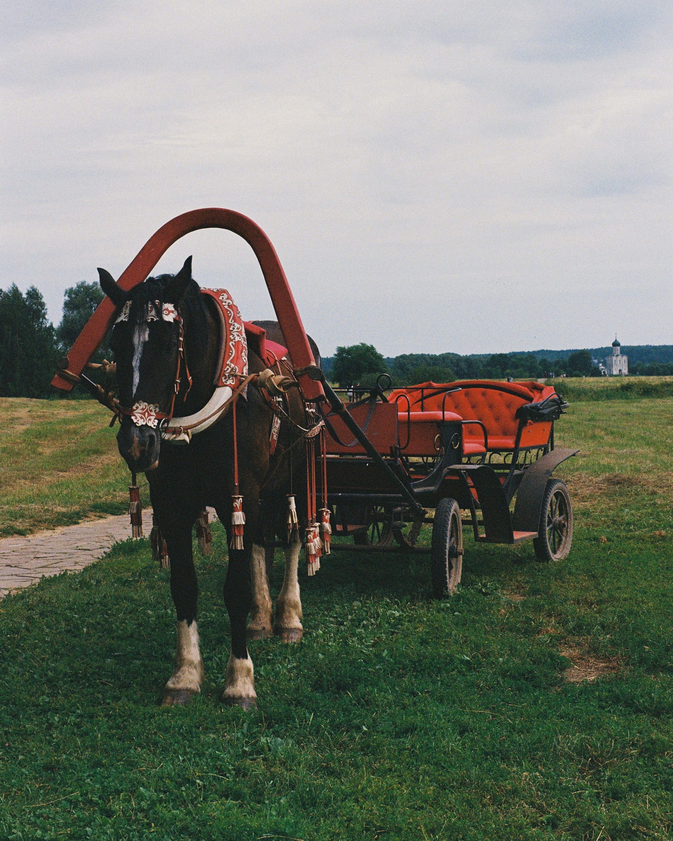 Це́рковь Покрова́ на Не́рли́. ANNA — PHOTOGRAPHER