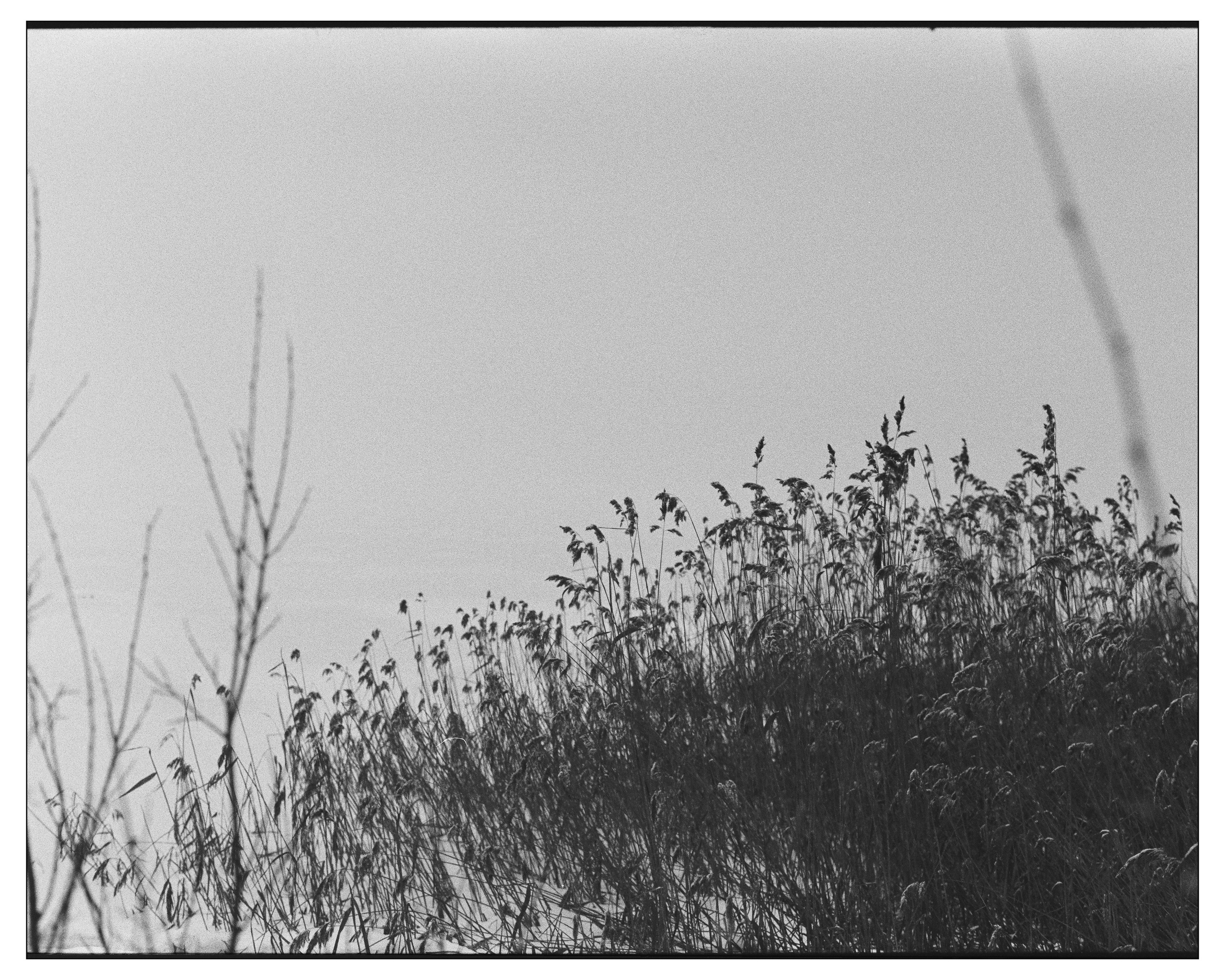 KARELIA. ANNA — PHOTOGRAPHER