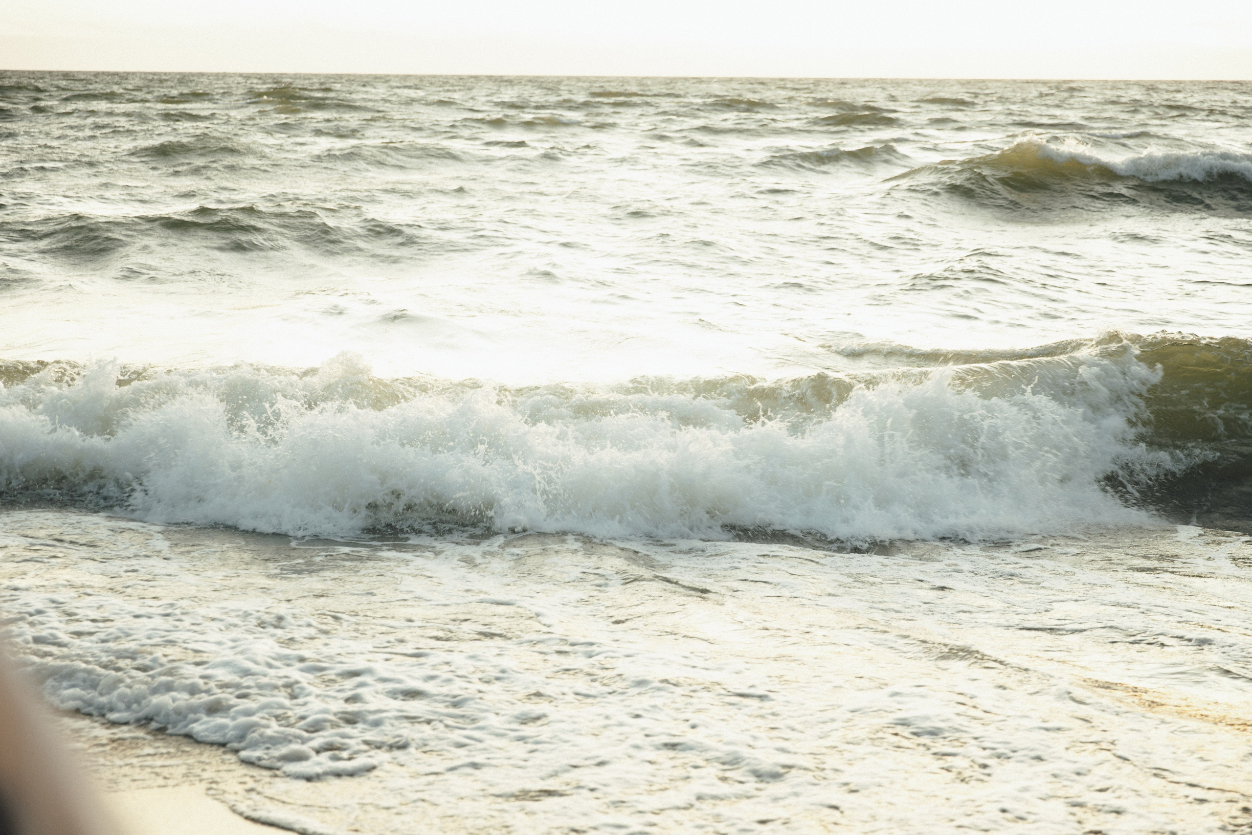 Вадим и Дарья / Донское. Фотограф Калининград Илья Миллер