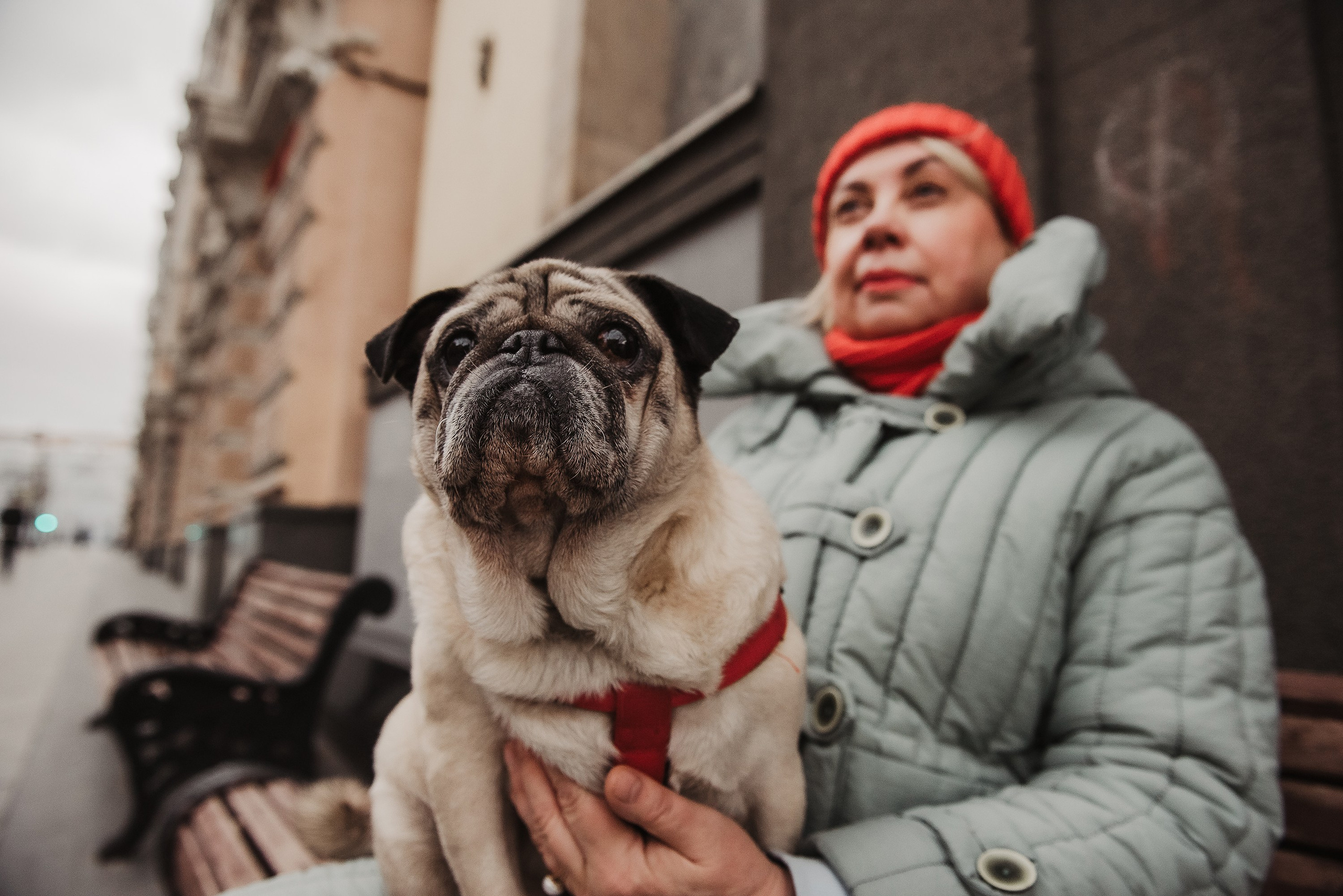 Ольга и Потапум. Прогулка к чайному дому. Семейный Фотограф в Москве Ирина Хохлова