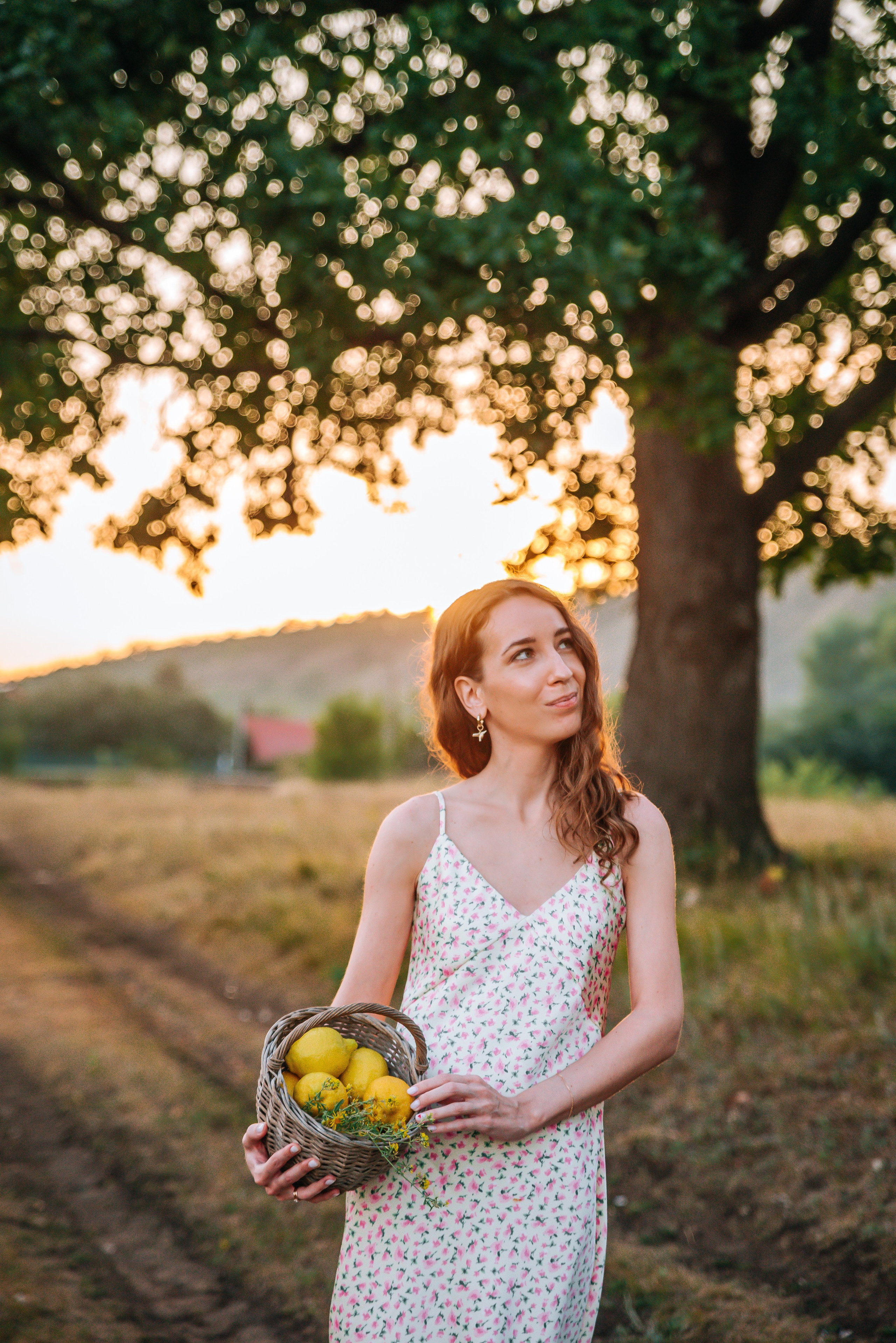 Летний Пикник. Главная