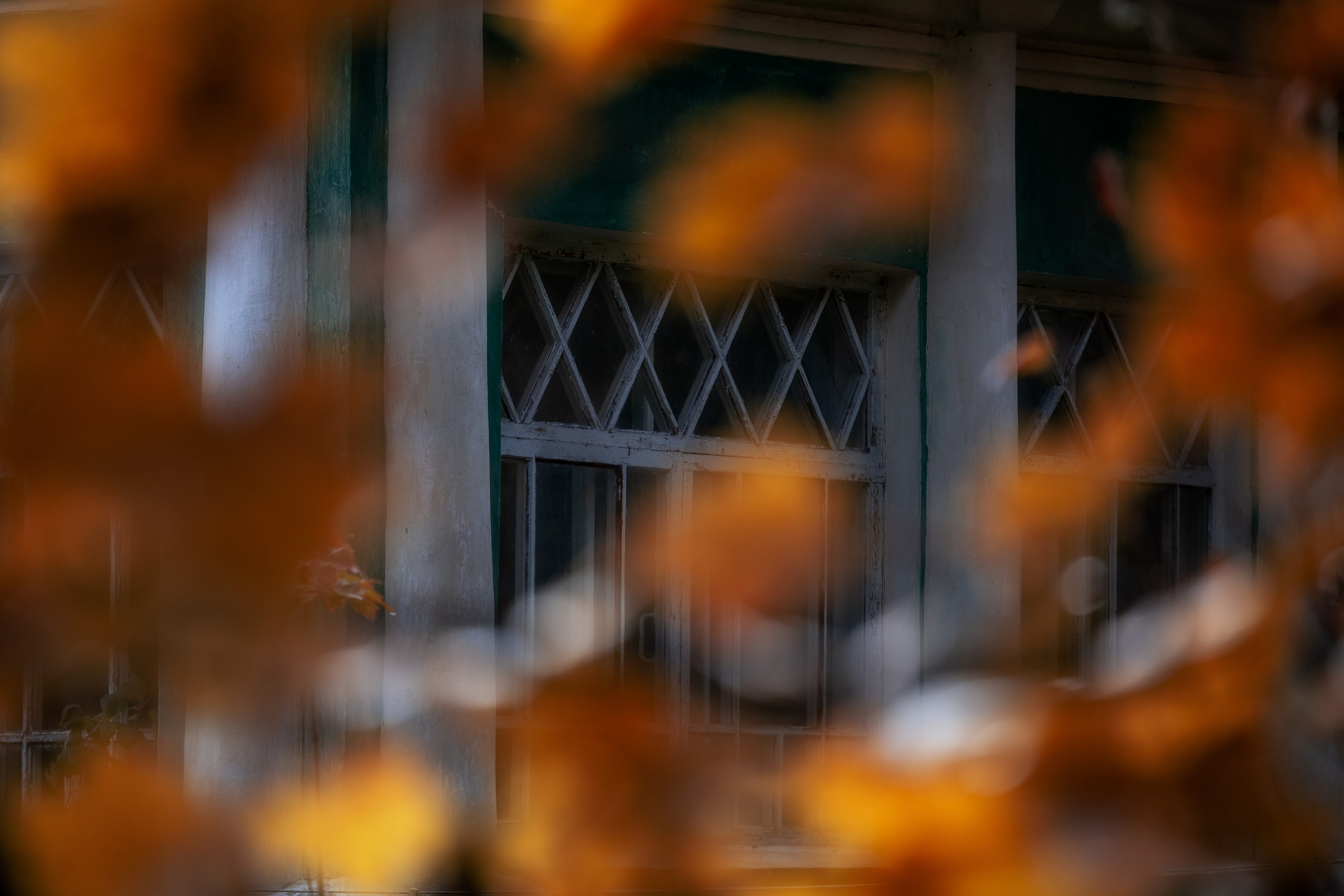 Природа (Осень). Фотограф Мартыненко Дмитрий
