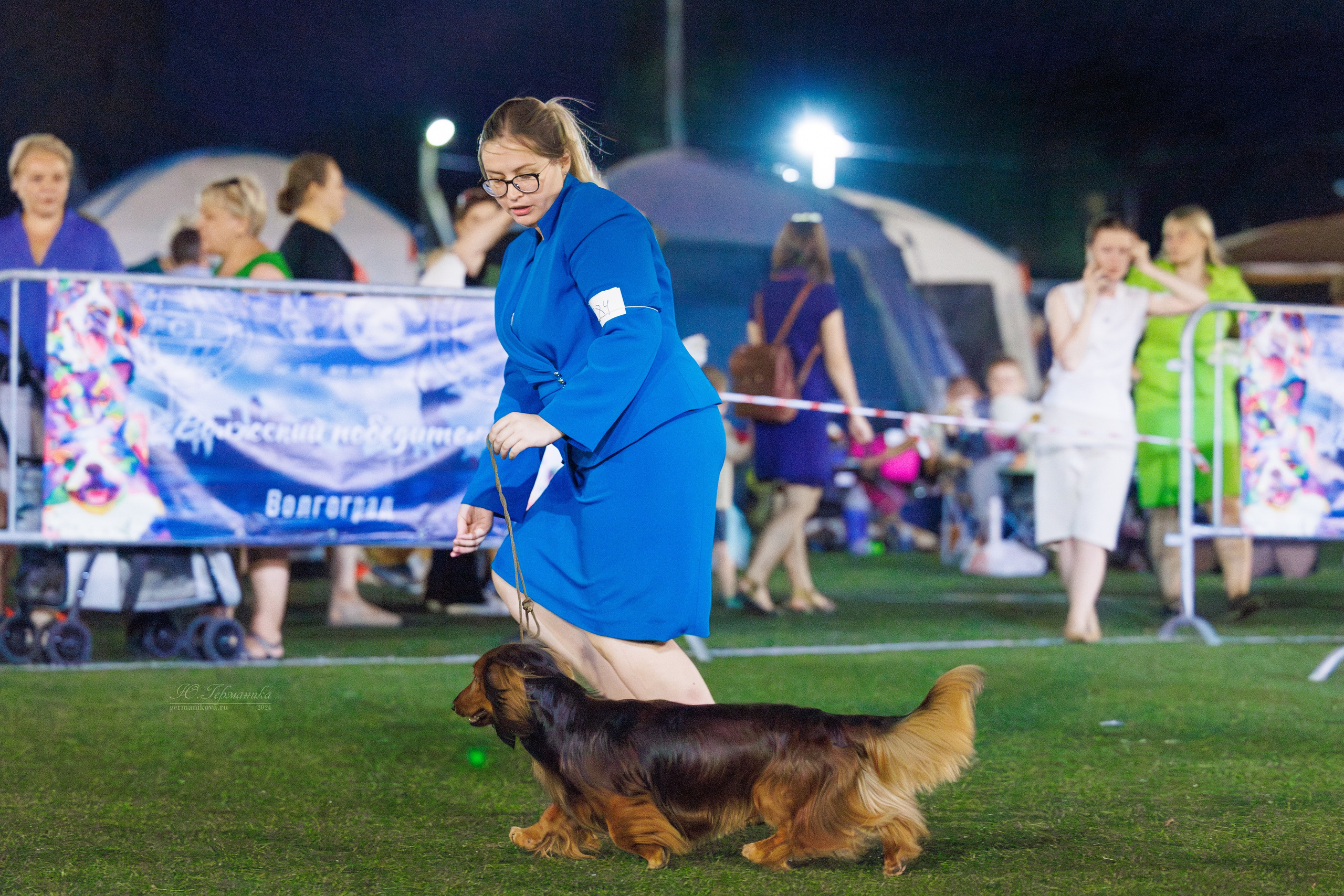 Волгоград 2-4.08.2024. Фотограф-анималист Юлия Германика