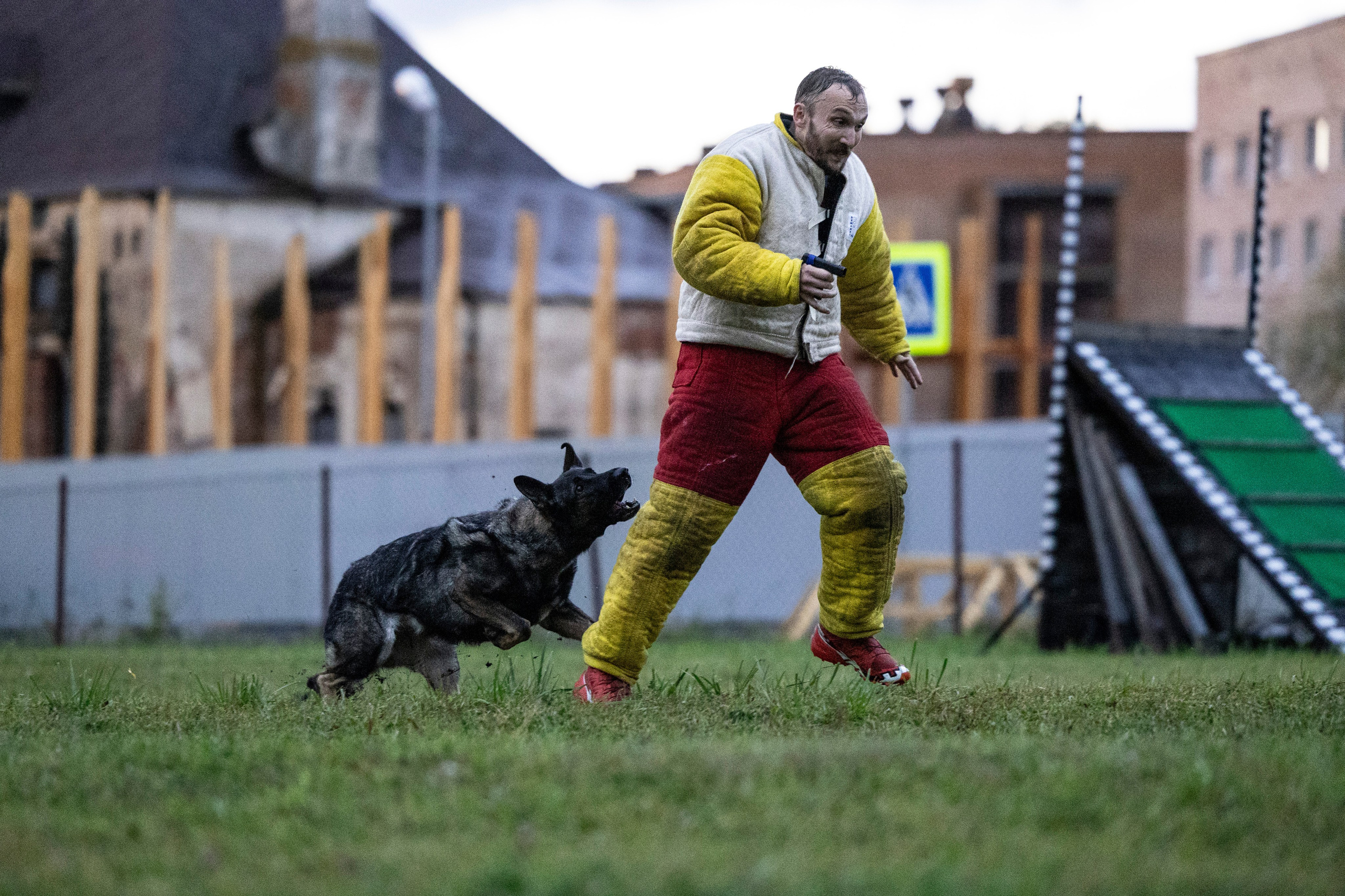 Испытания по Мондьорингу г. Пушкин. Фотограф-анималист Анна Маринич