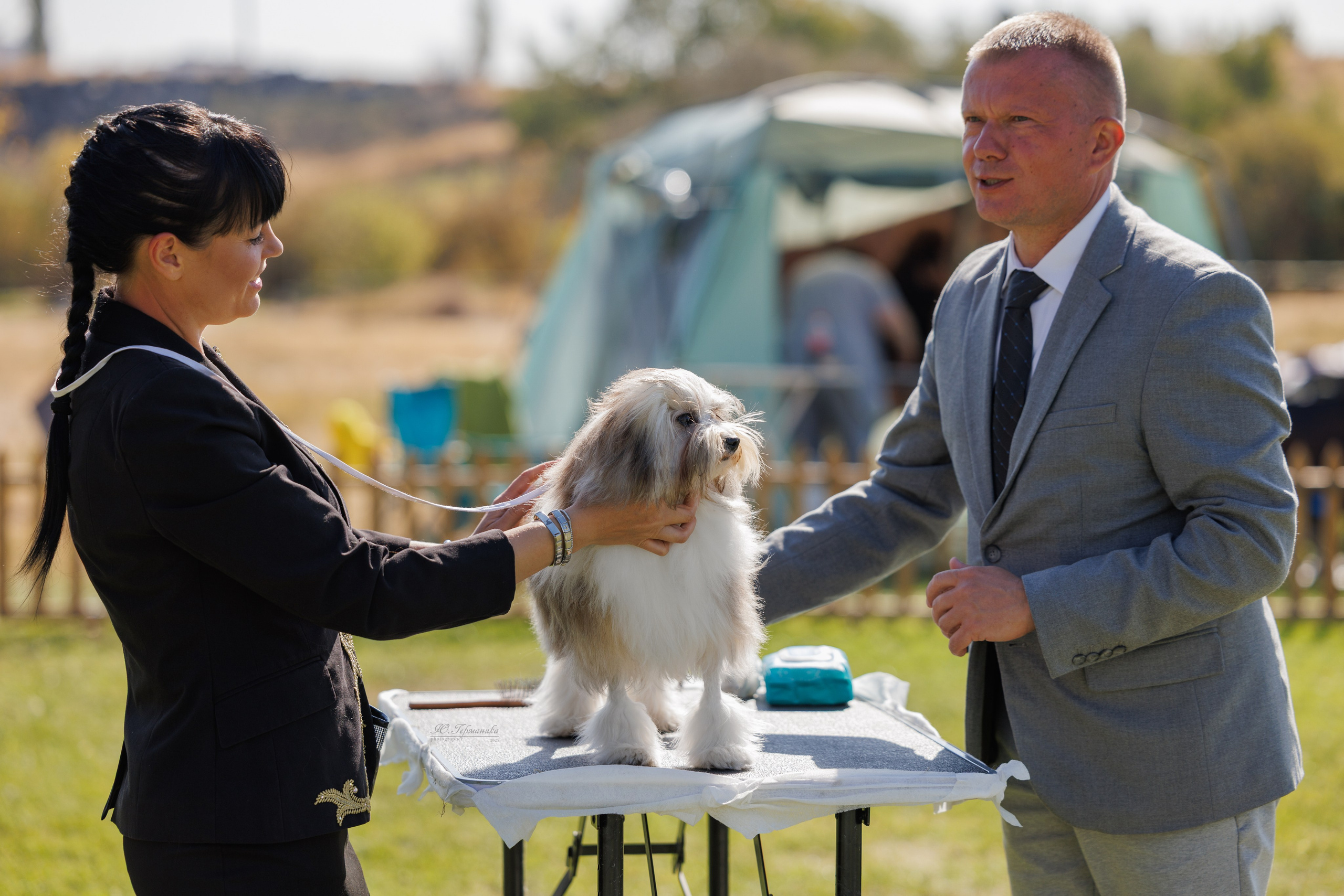 Ереван 14-16.10.2025. Фотограф-анималист Юлия Германика