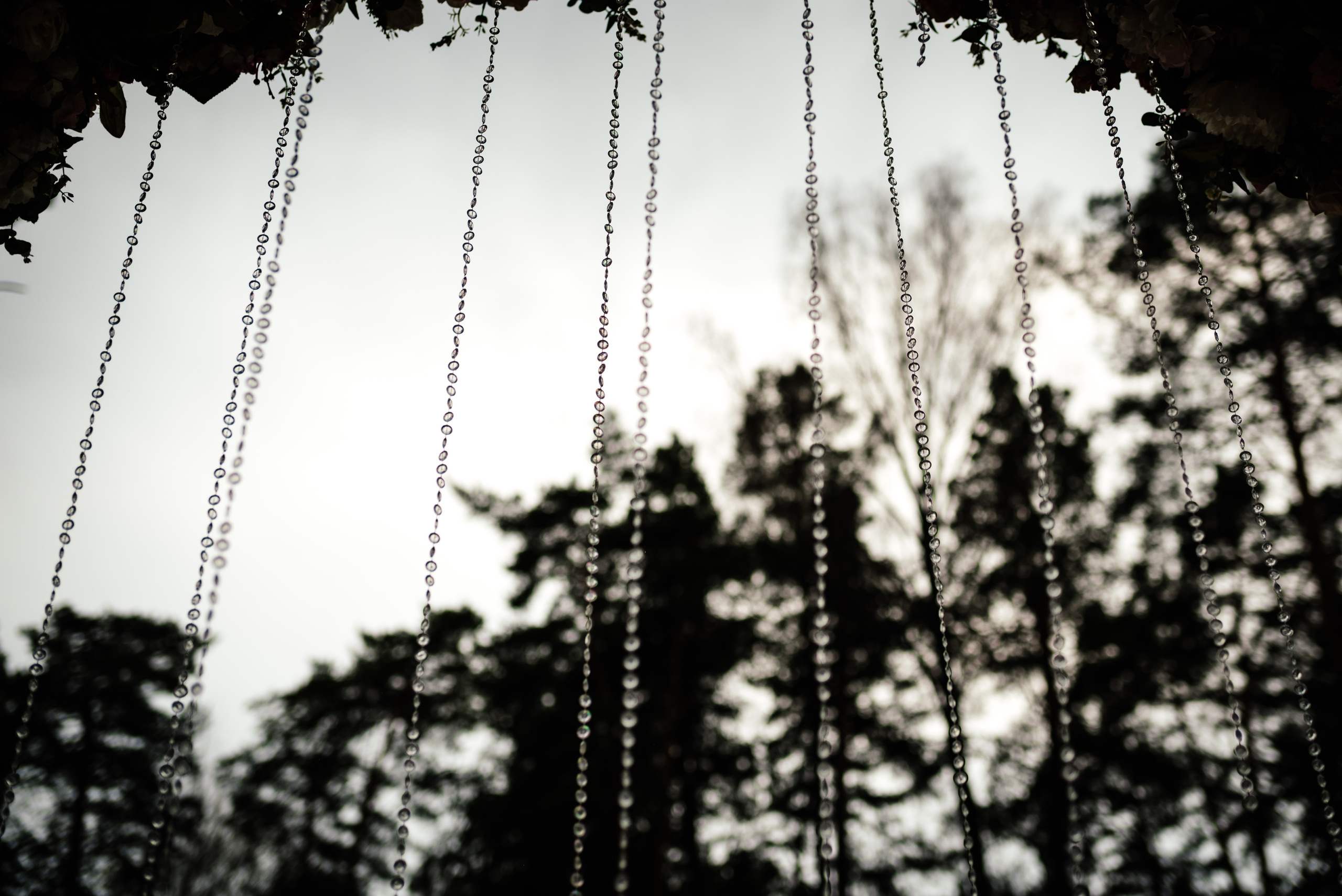 Фотограф на свадьбу. Свадебный, репортажный и семейный фотограф в Москве Арина Зак