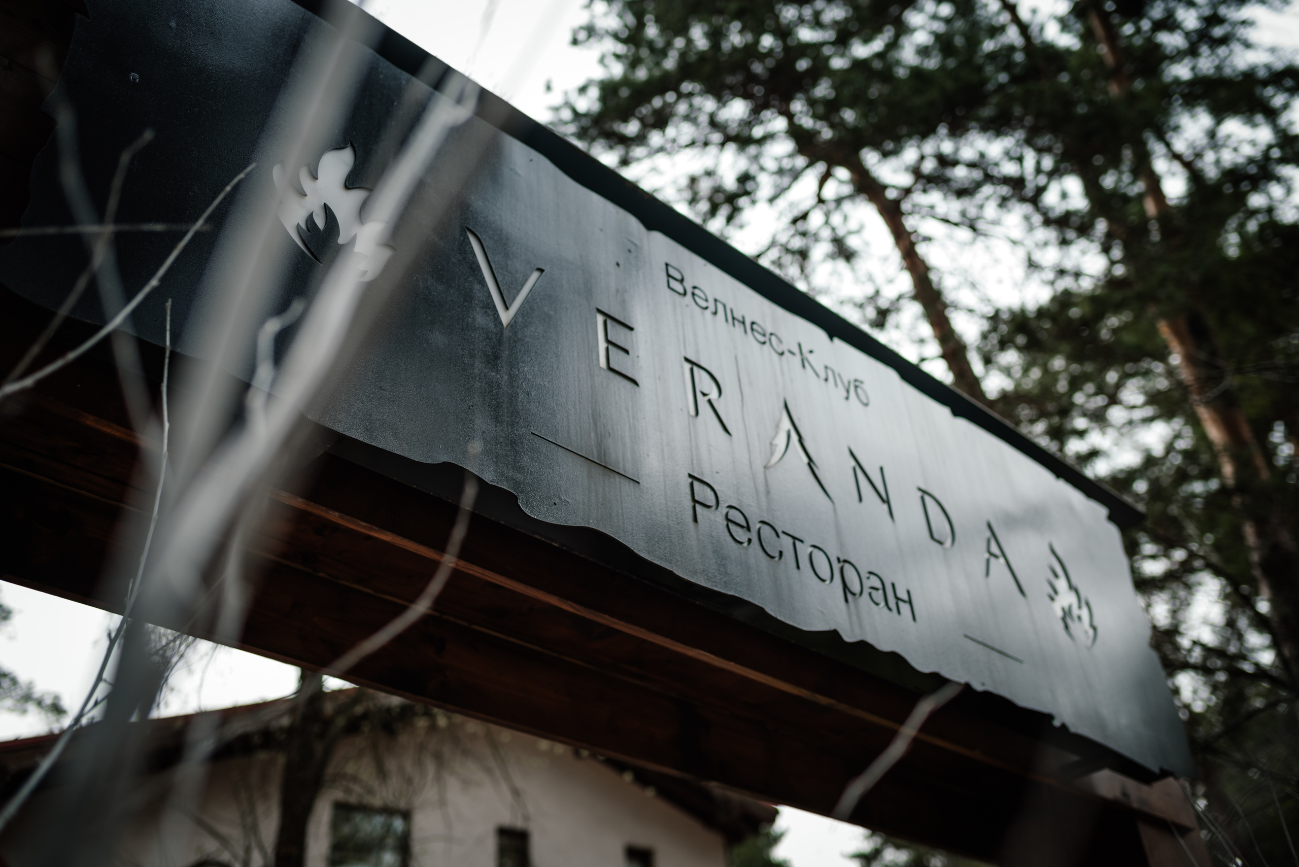 Фотограф на свадьбу. Свадебный, репортажный и семейный фотограф в Москве Арина Зак