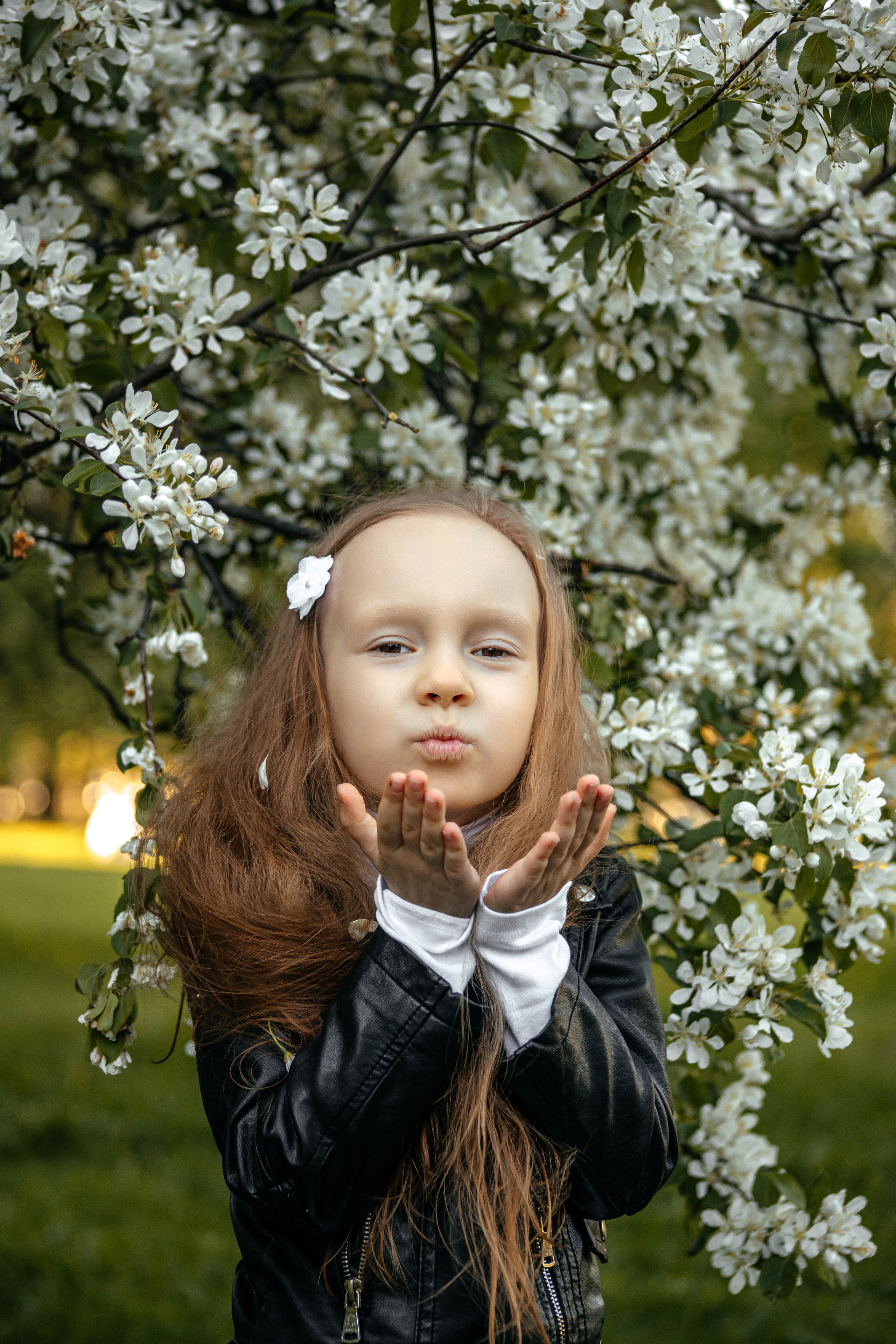 Белое цветение. Elena Sova — семейный и женский фотограф в Санкт-Петербурге