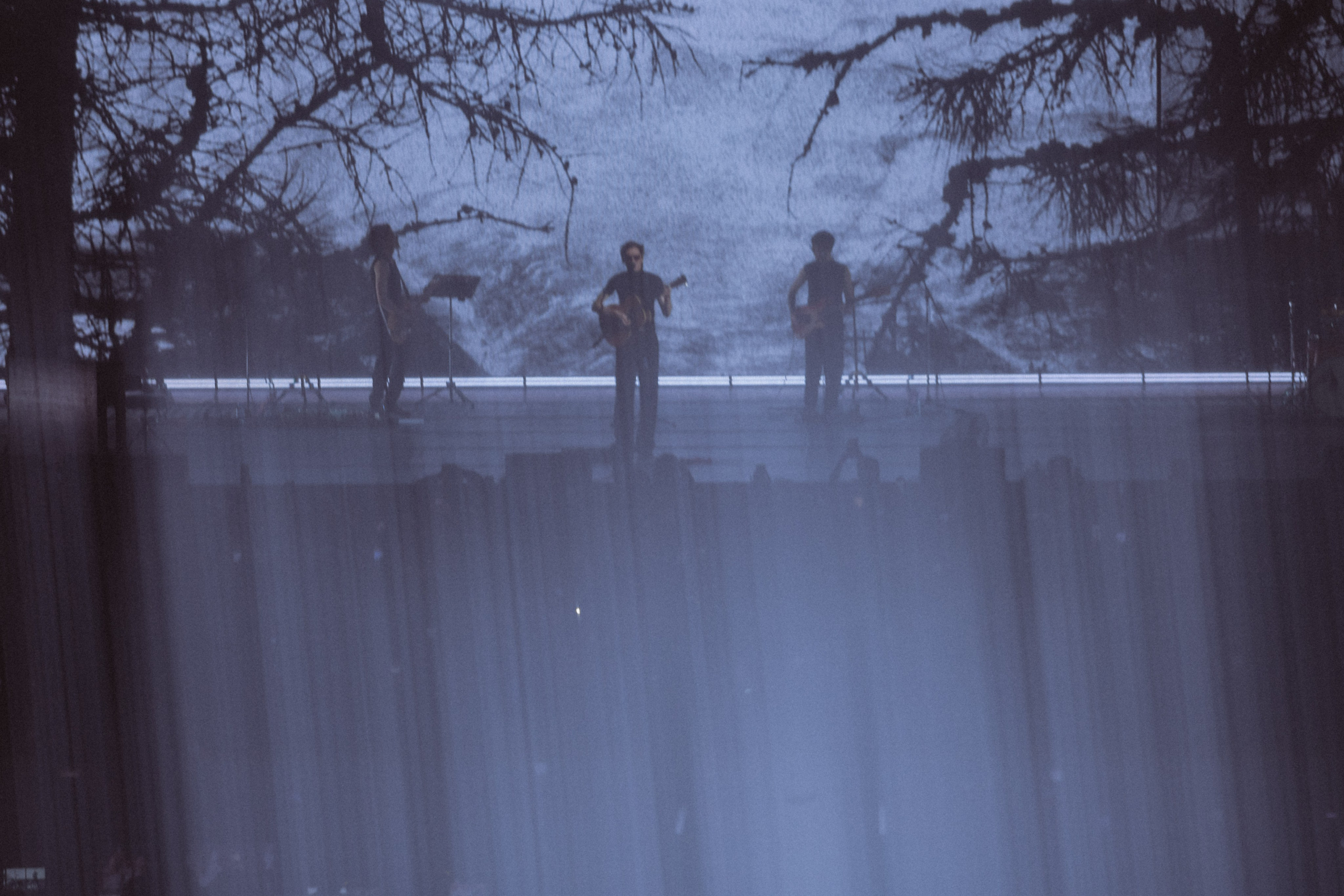 Zoloto в Юбилейном. Фотограф Виктория Дунаевская в Санкт Петербурге