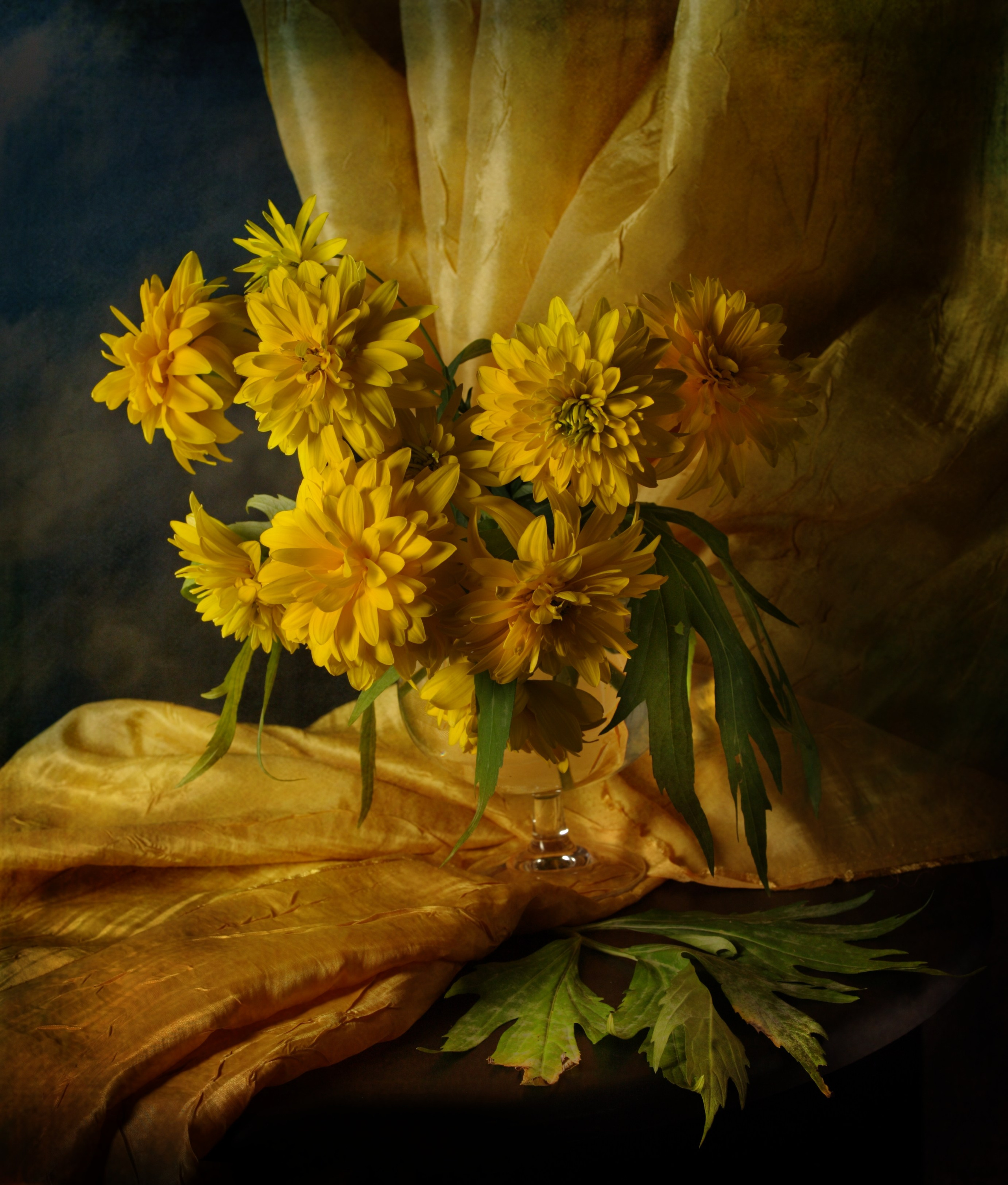 Цветы. Фотограф Мария Кольцова