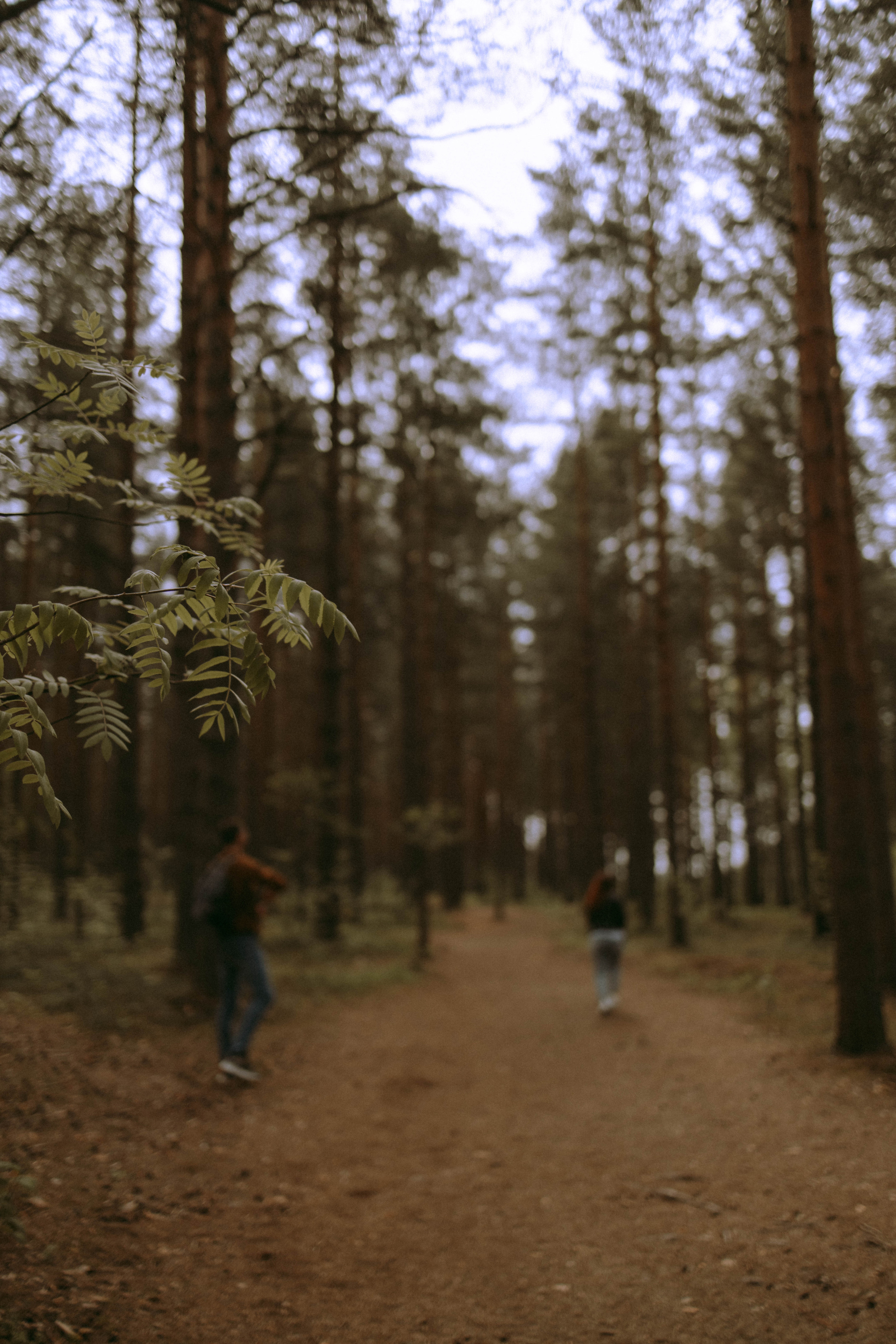 Олеся и Женя. Свадебный и прогулочный фотограф в Санкт-Петербурге Дарья Корель