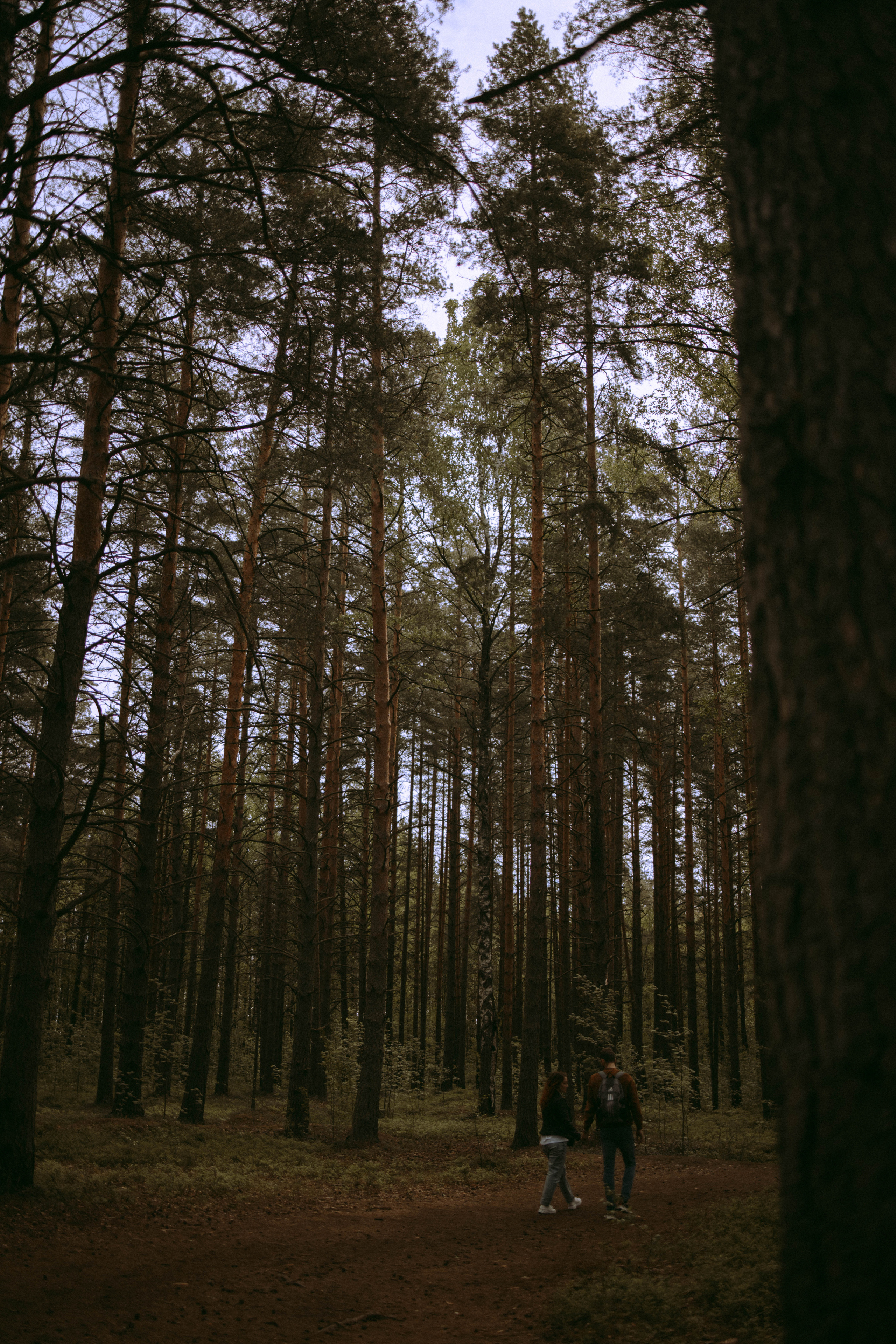 Олеся и Женя. Свадебный и прогулочный фотограф в Санкт-Петербурге Дарья Корель