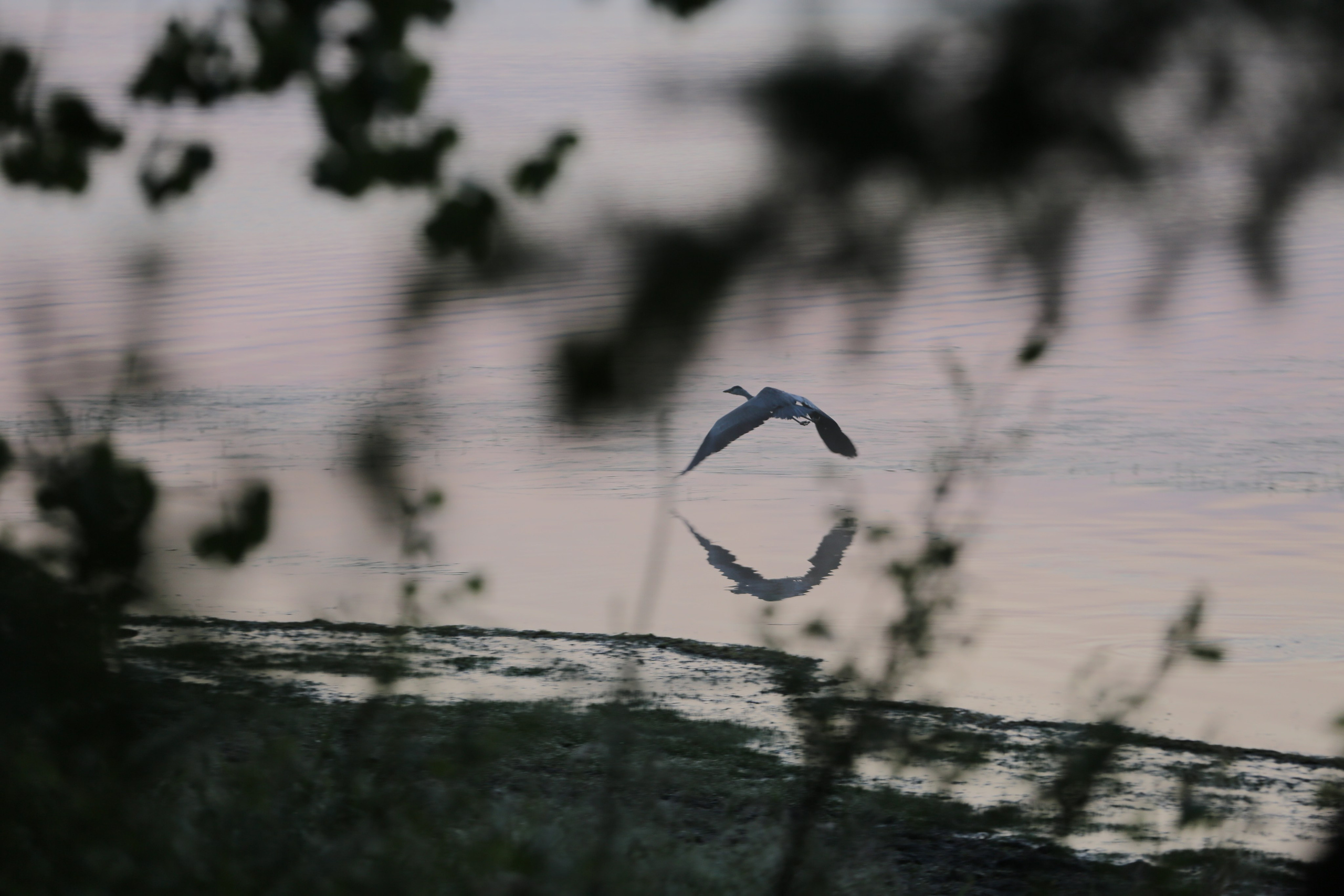 Фото Природы Забайкалья. Студия Максима Белослюдцева