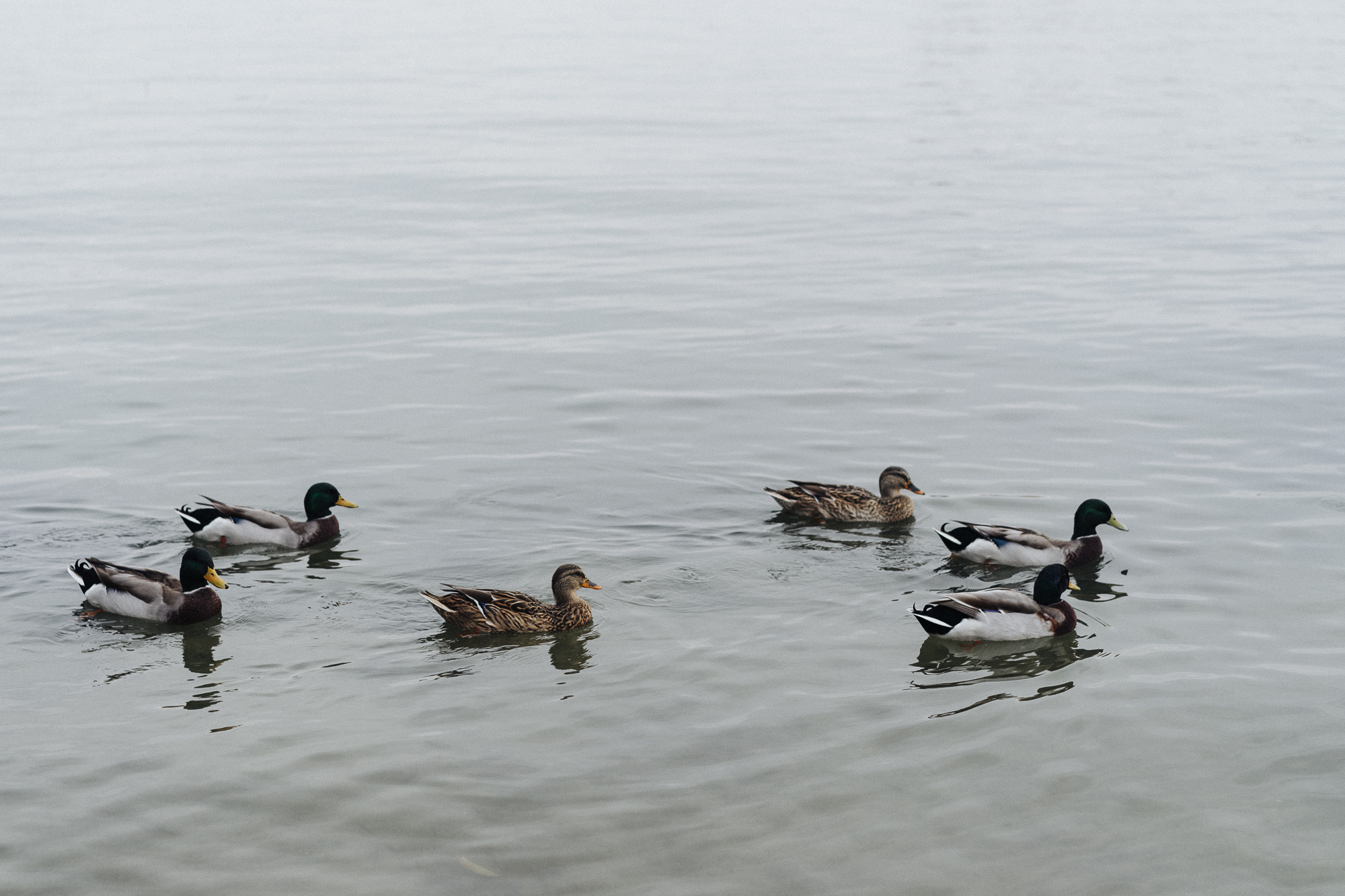 Влада и Алиса. Семейный и детский фотограф в Волгограде и Сочи Наталия Пирметова