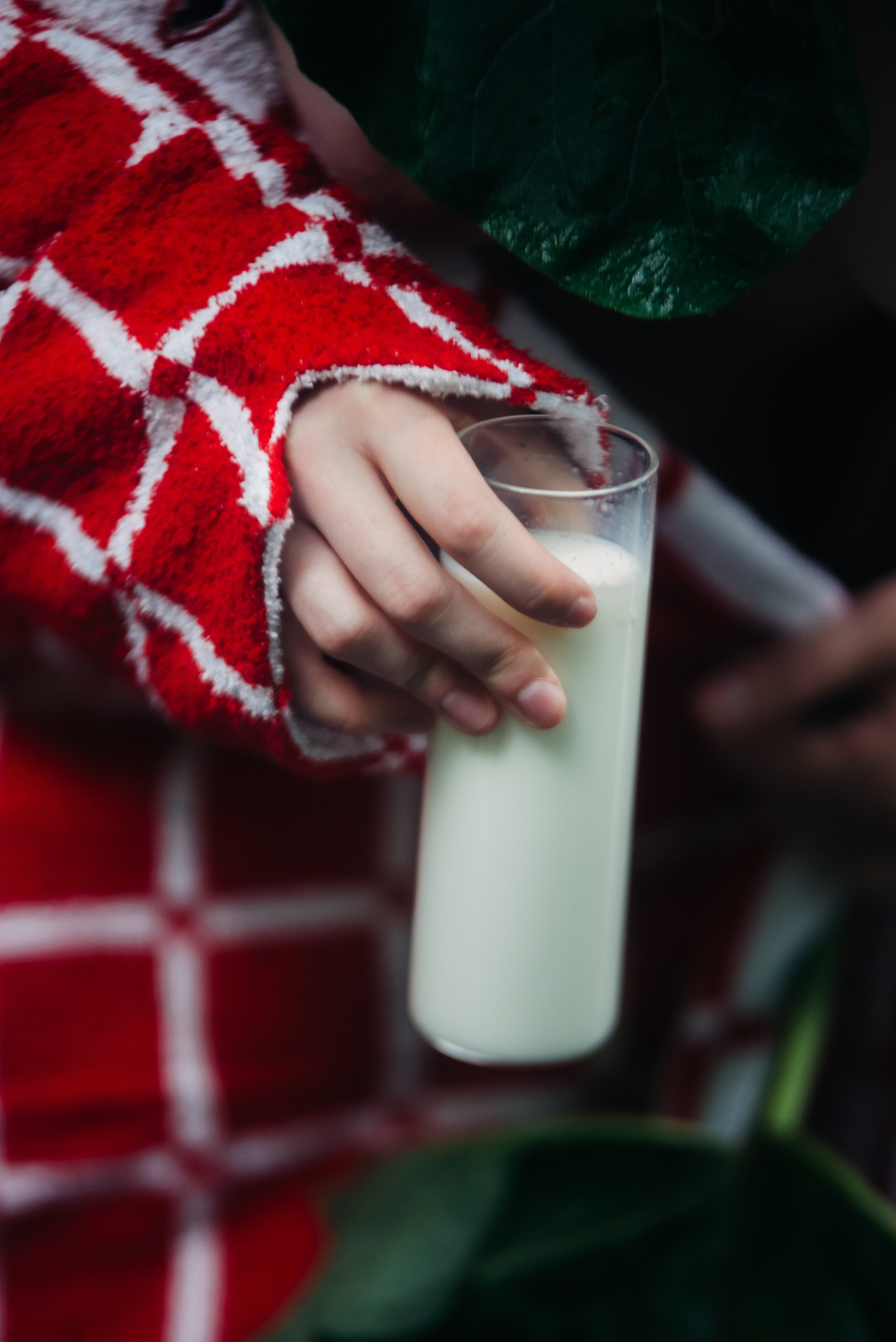 Красное на зелёном. Репортажный и портретный фотограф в Липецкой, Воронежской, Московской области Тёма Белоусов