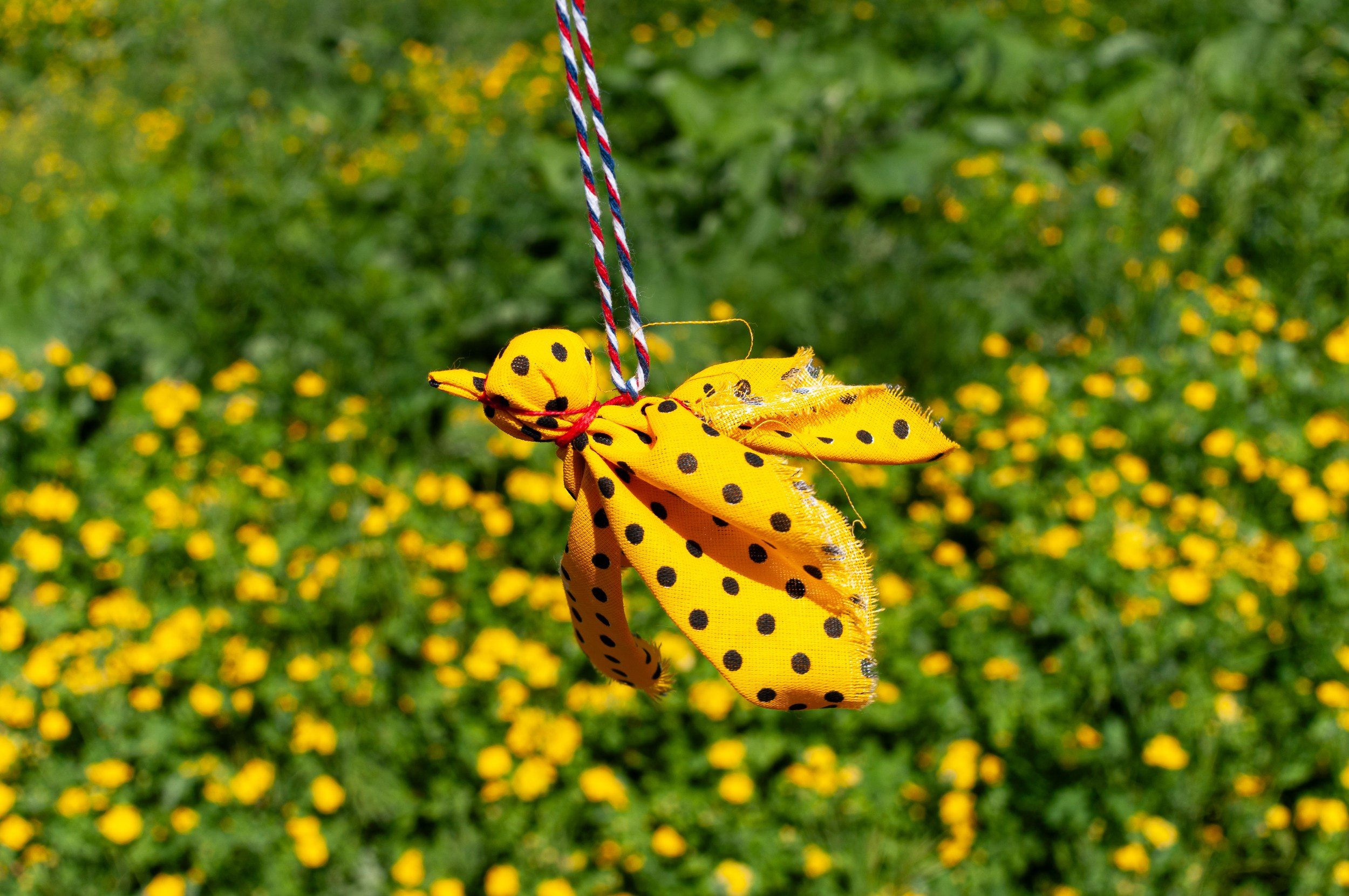 Тракт. Николай Пак