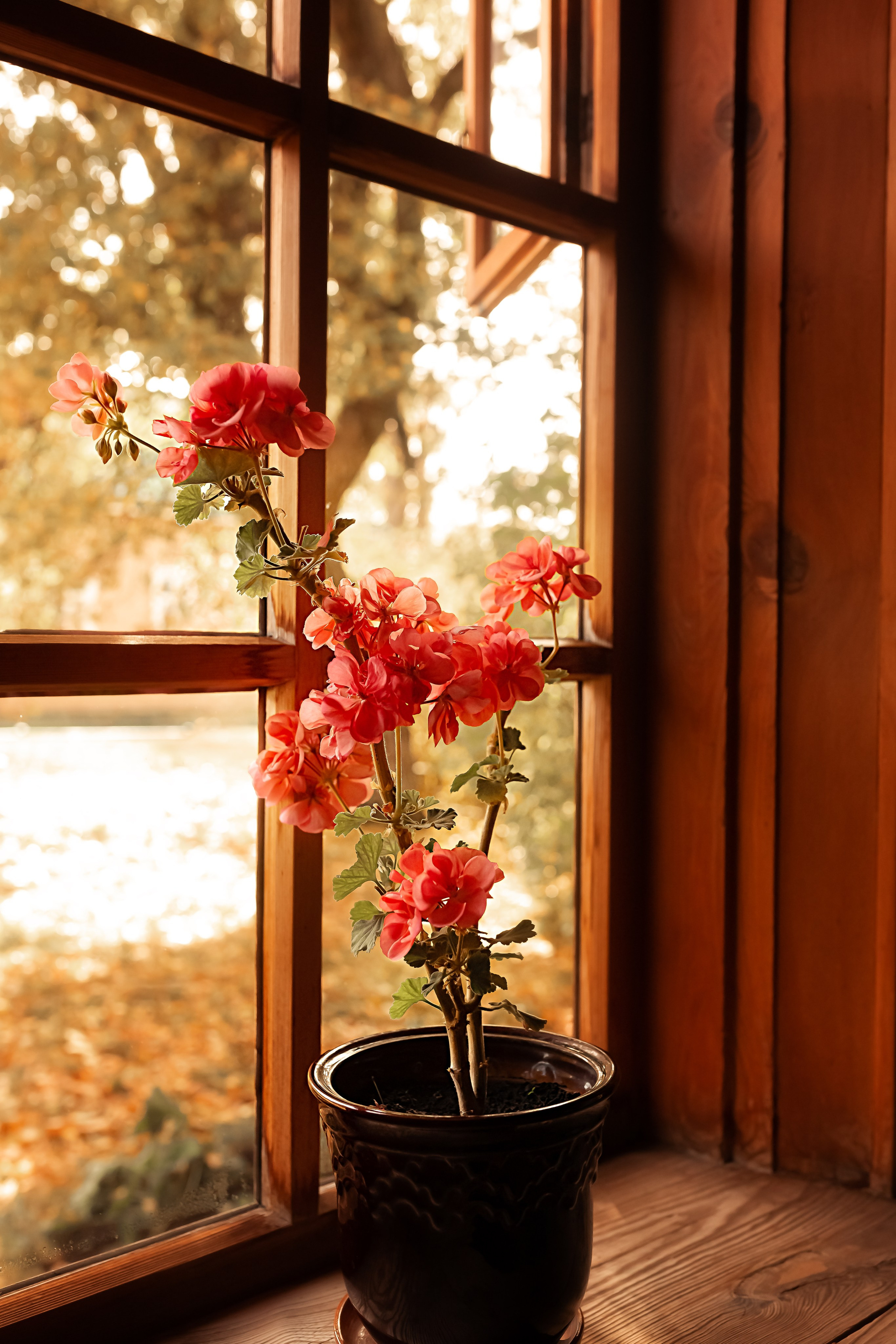 Тарханы. Съемка Таинств Крещения Венчания, детские и семейные съемки в Пензе