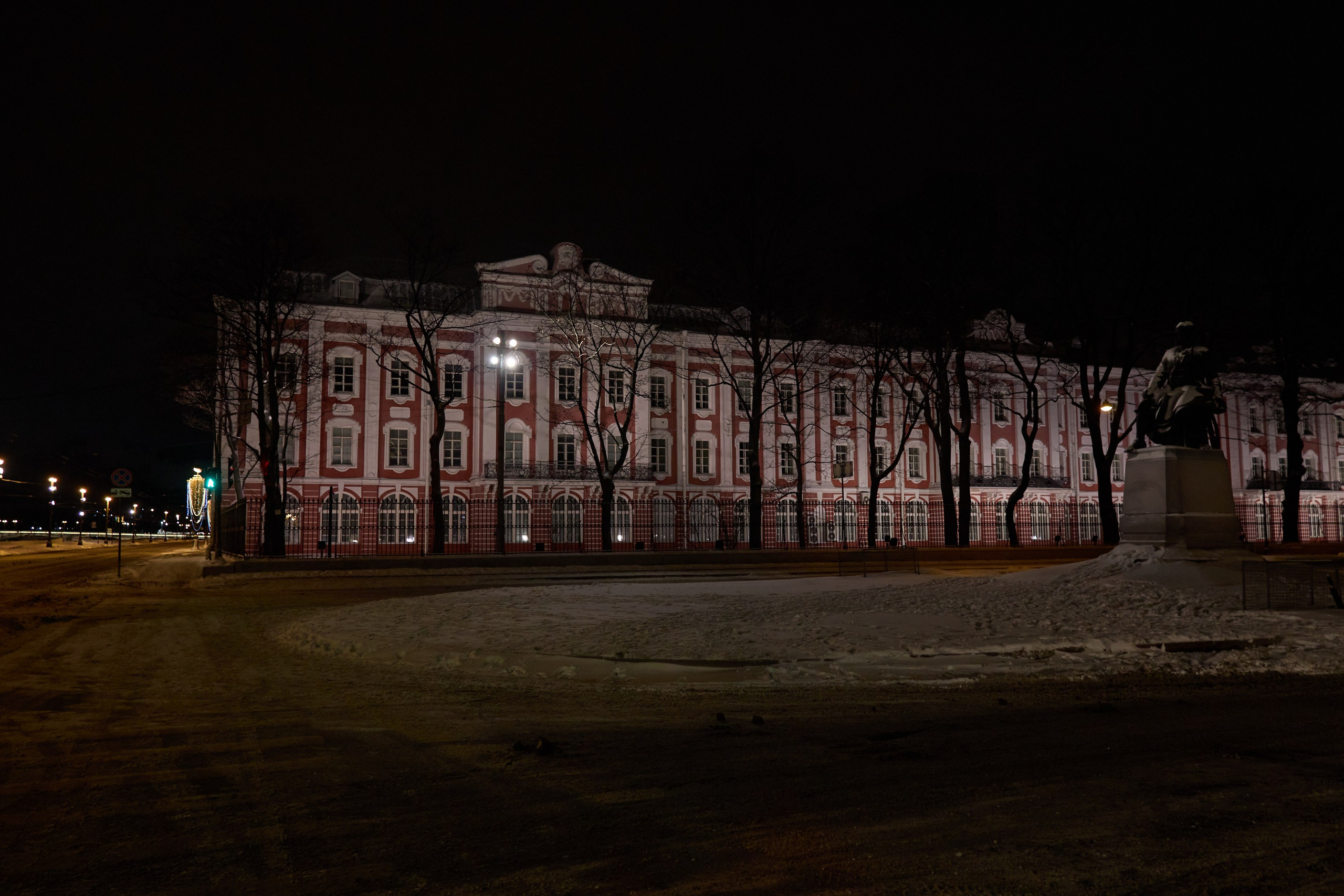 Рождество въ Санктъ-Петербургѣ. Фотографъ Сергѣевъ. Поймать мгновеніе