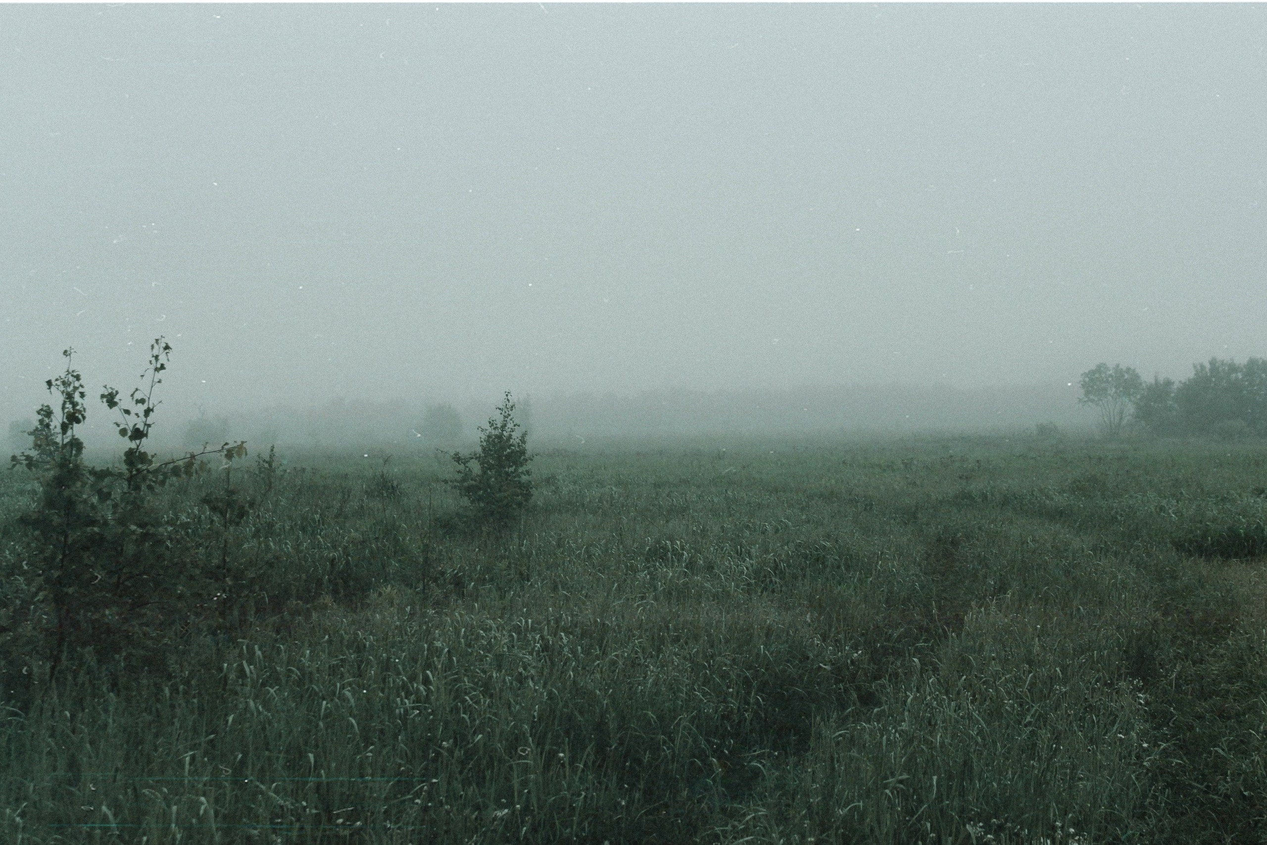 Ольга Венгель. Фотограф, режиссёр, художник Аполлинария Лиманская