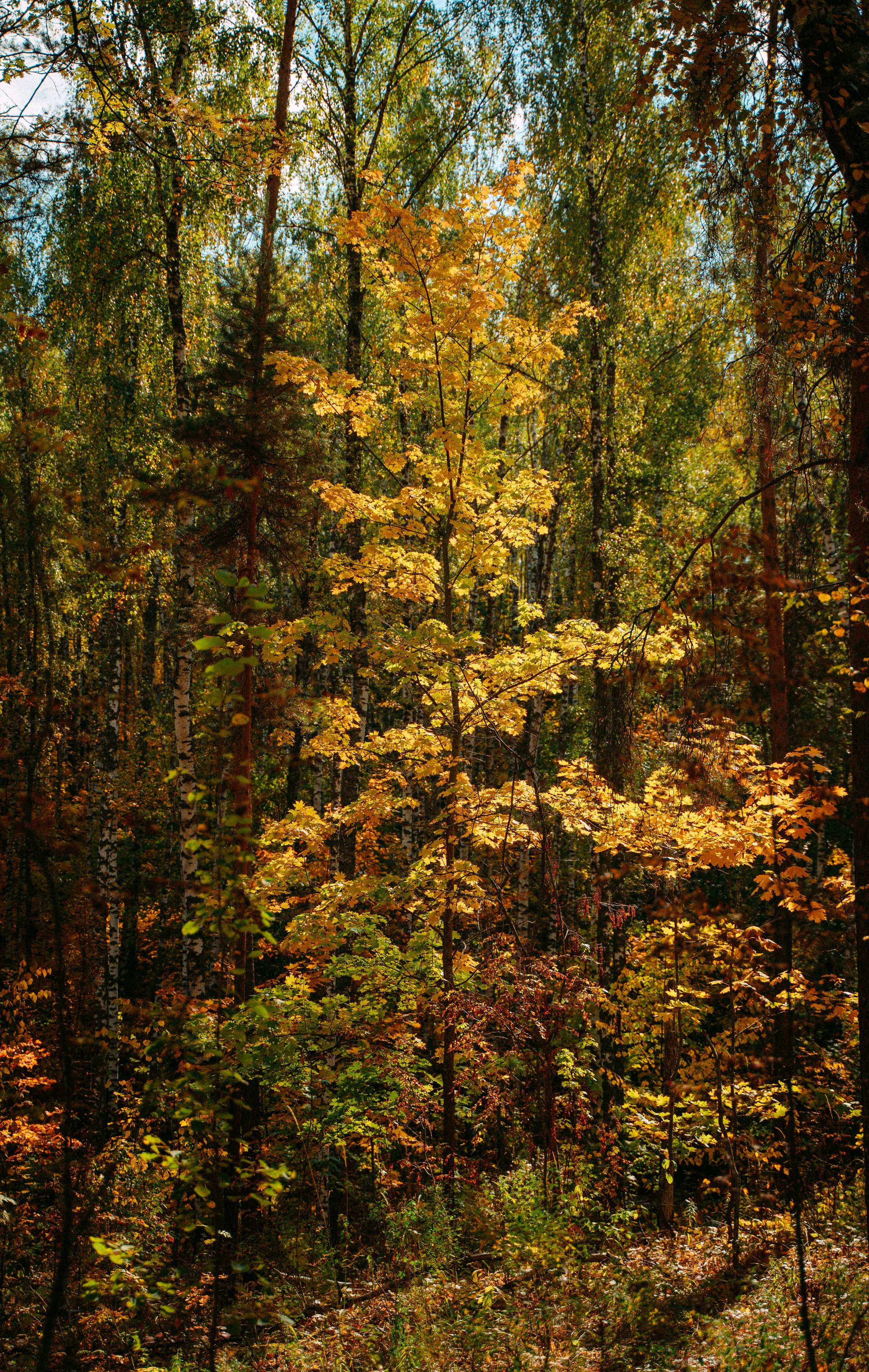 Good Friends Trip / команда локальных путешествий. Саша Копылов, фотограф в Казани