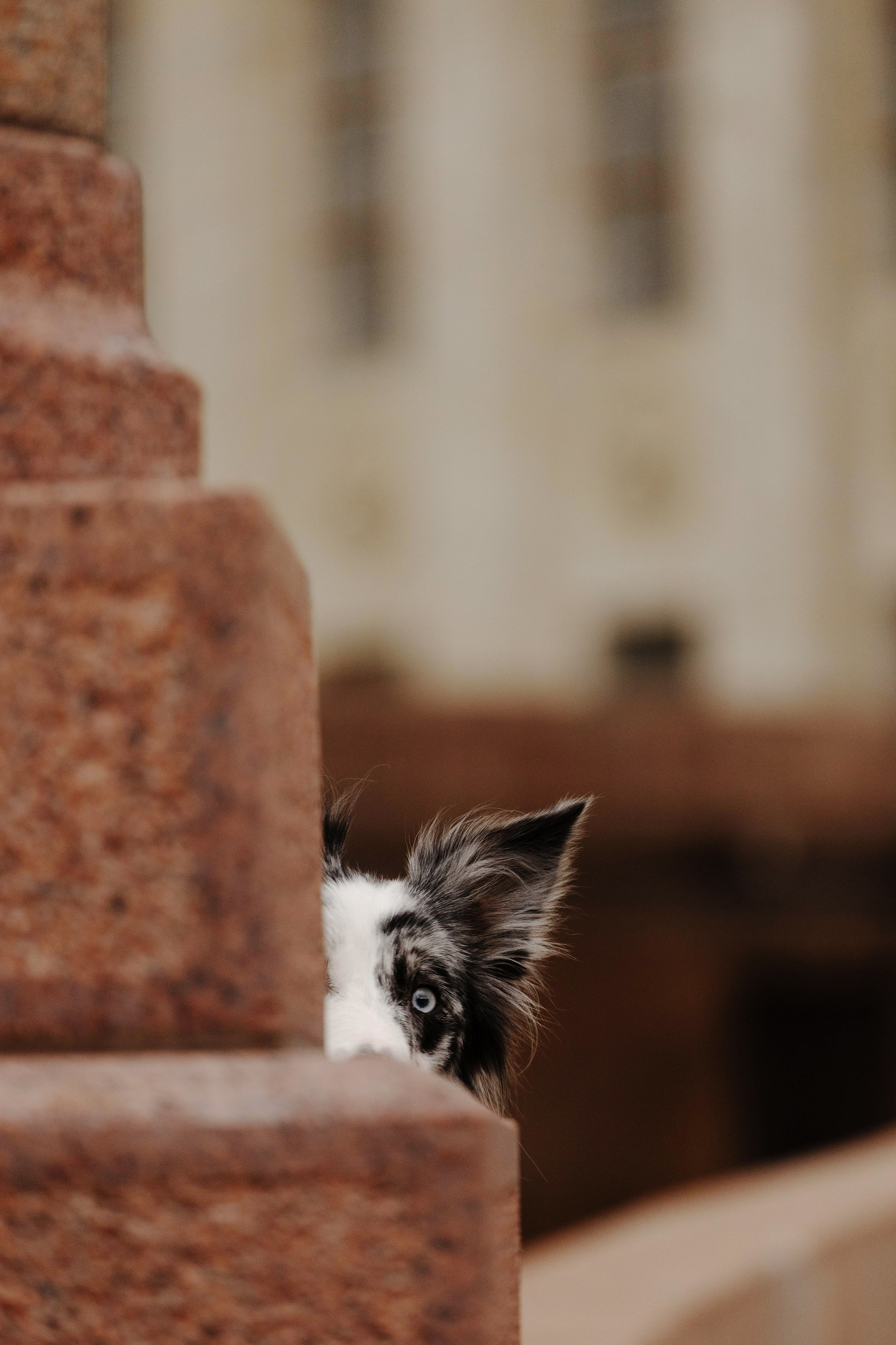 Москва / Настя и Рикотта. Фотограф Кузина Вера
