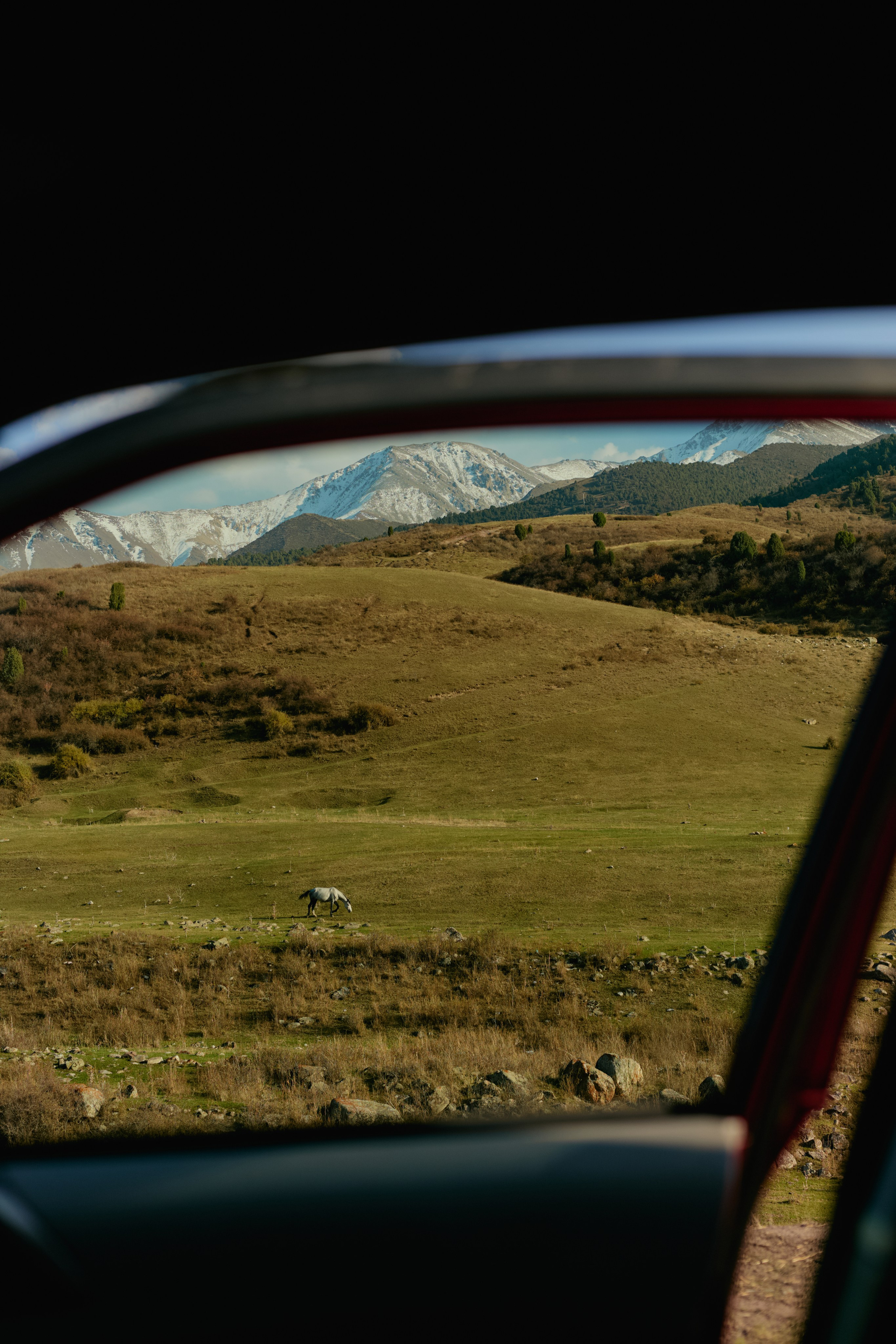 Кыргызтан. Профессиональный Фотограф во Владимире, в Москве и в Суздале — Полина Романычева
