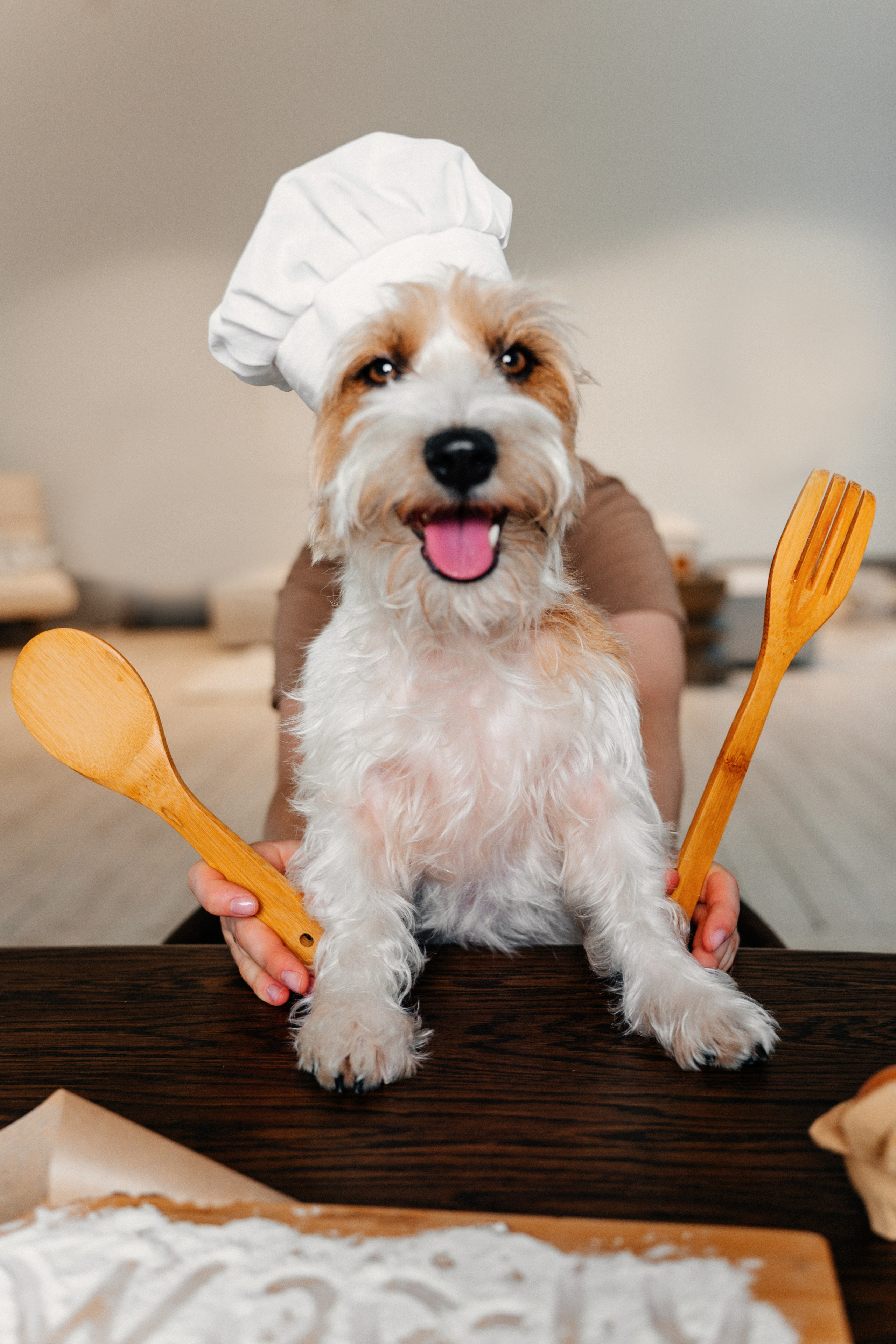 Красота хвостатых глазами хозяйки. Ваш семейный фотограф в Минске — Вика Трегубова
