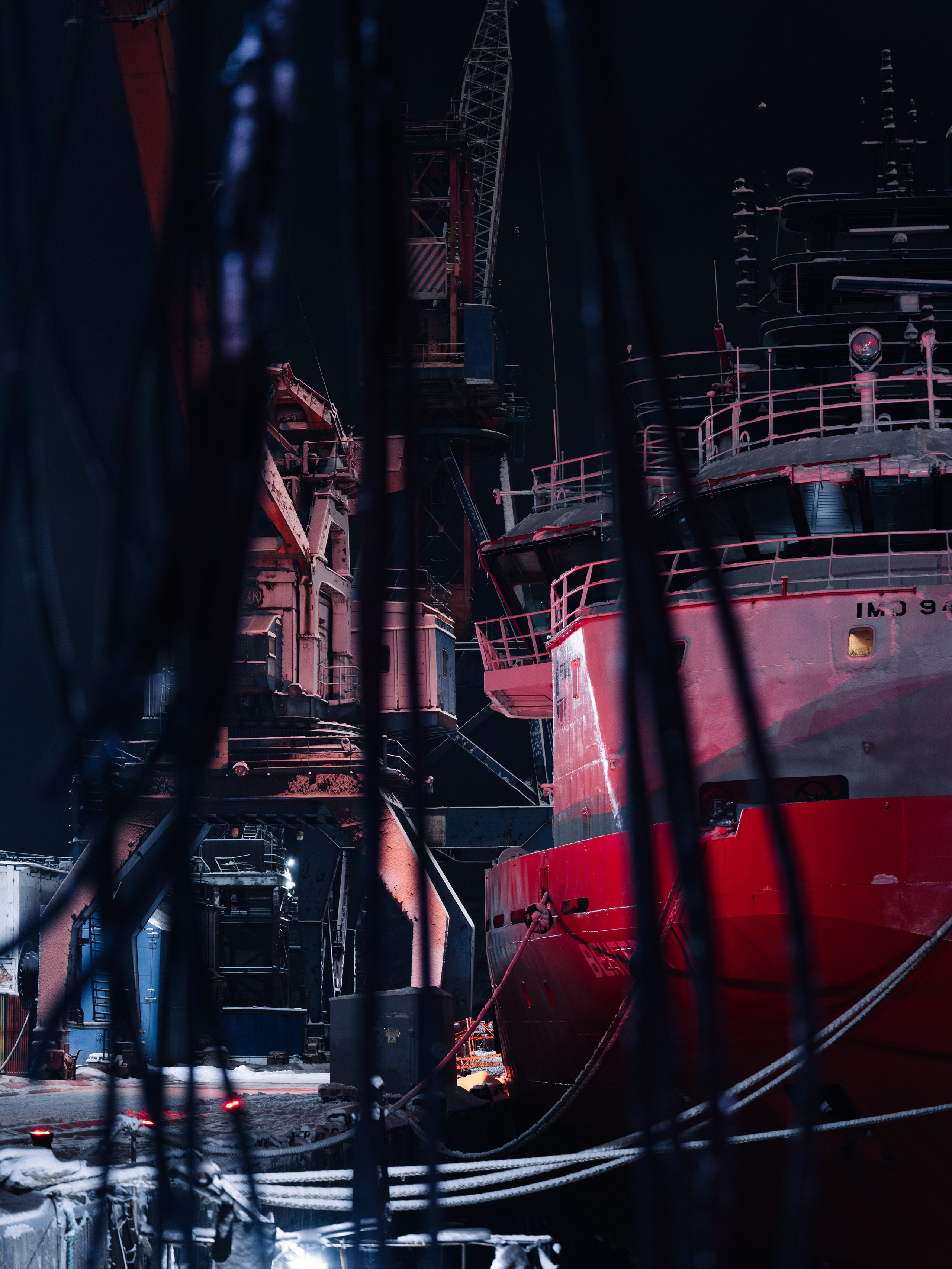 PANTERRA, POSTHUMAN ARTEFACT 003. @tomrus: Рустам Шагиморданов — фотограф