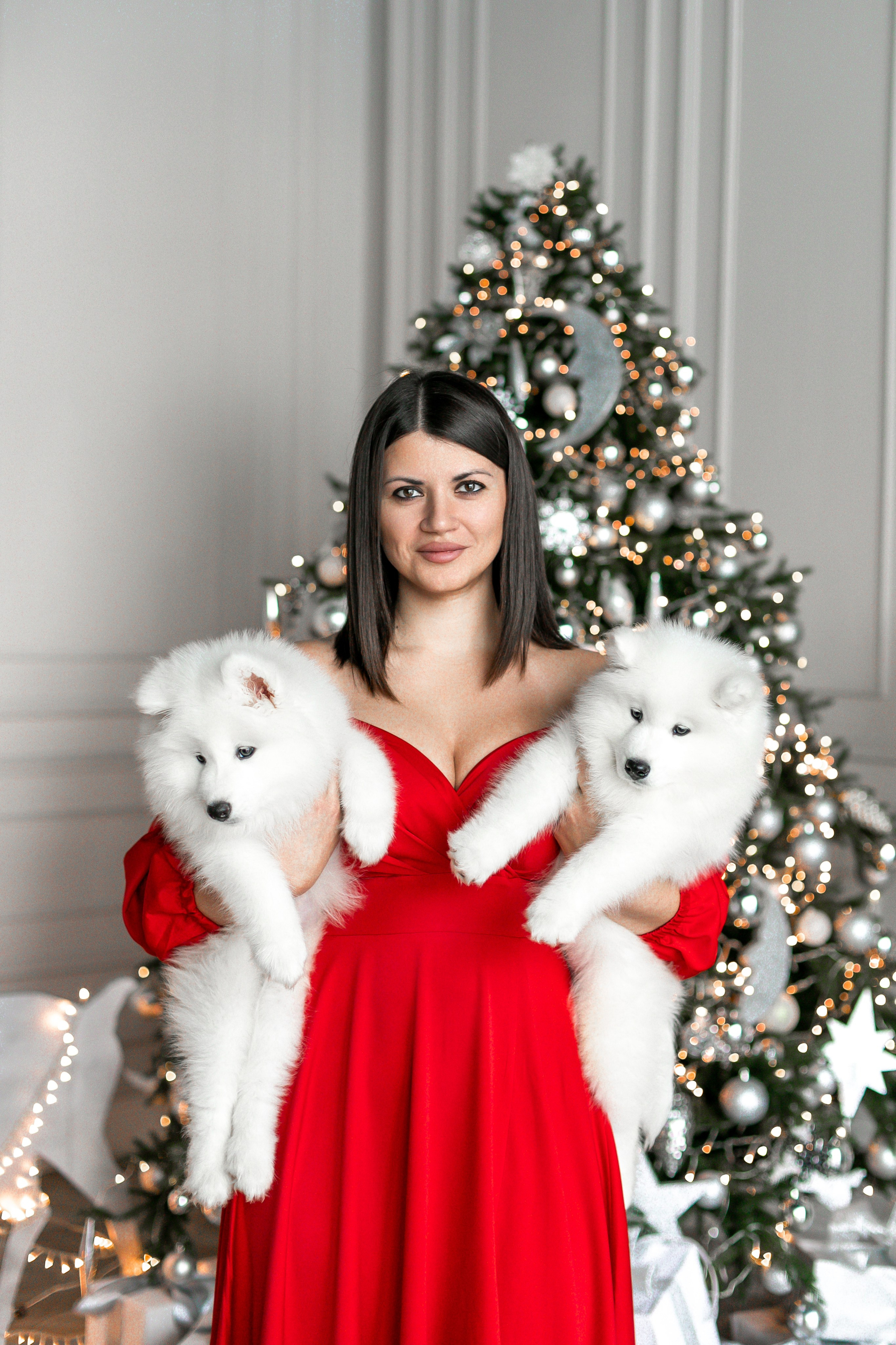 Фотосессия с животными в студии. Фотопроекты, фотодни и фотосессии в Москве