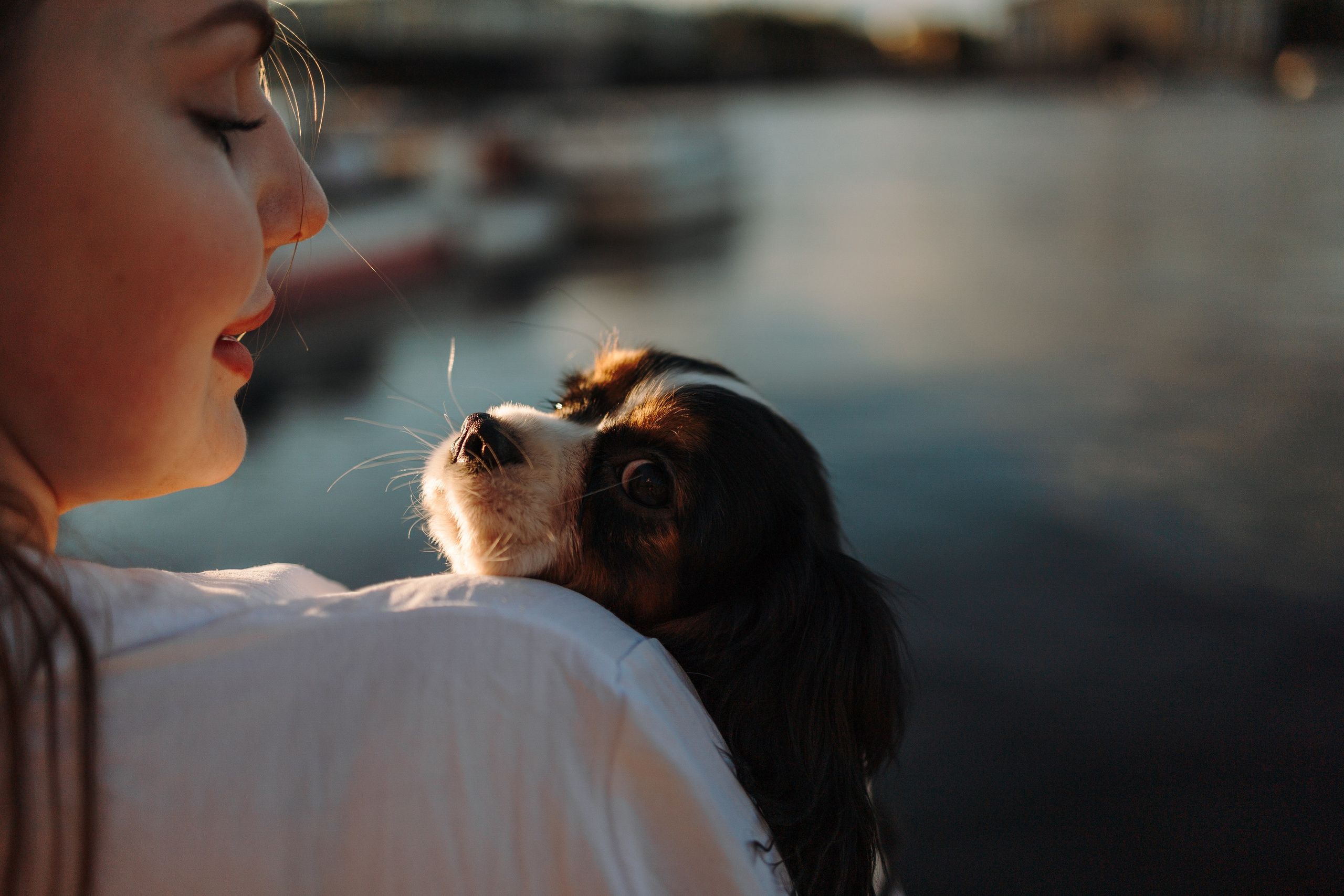 Аня, Стеша и Степан. Фотограф — Анималист | Санкт-Петербург