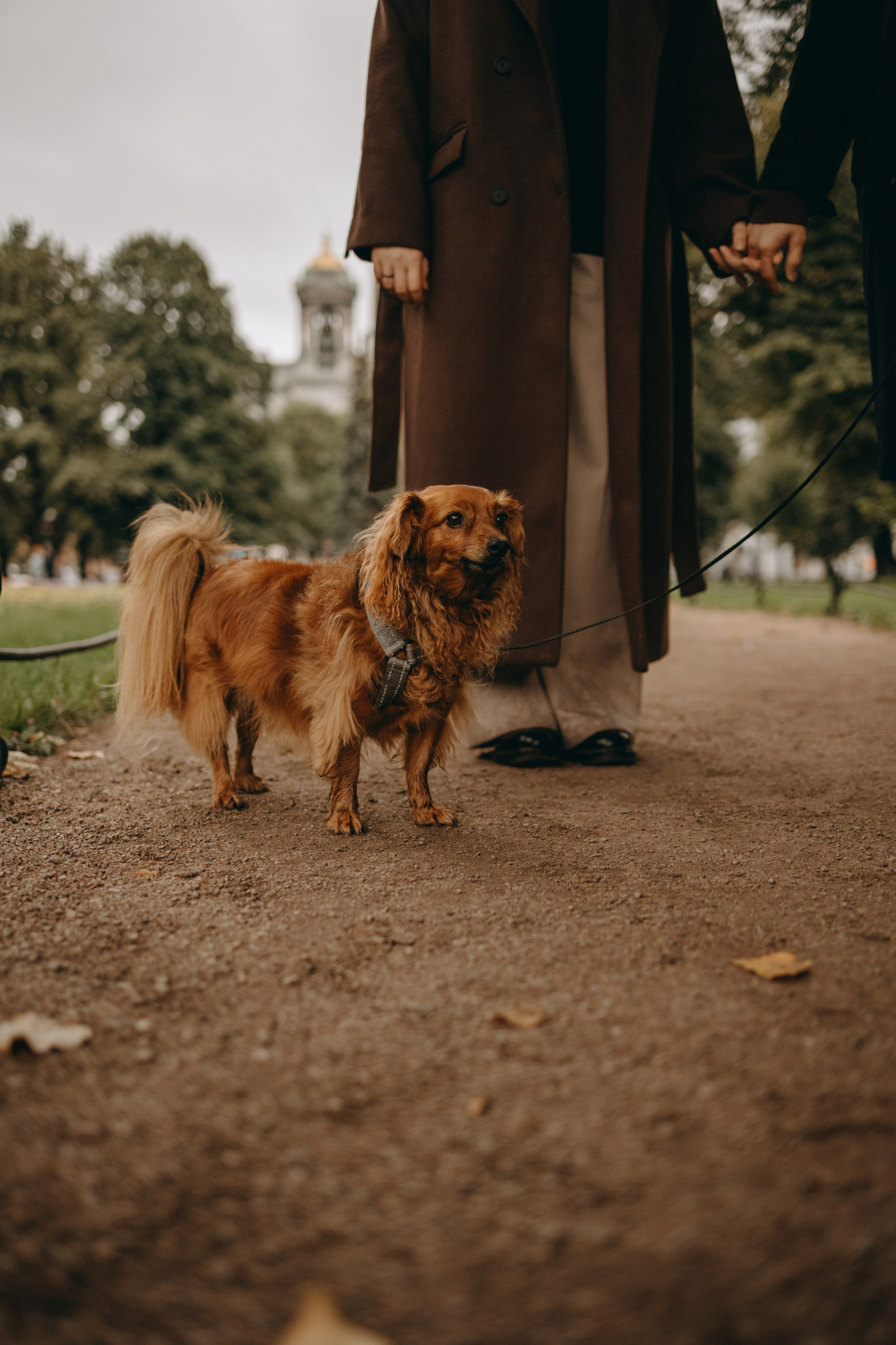 Жу и ее семья. Фотограф — Анималист | Санкт-Петербург
