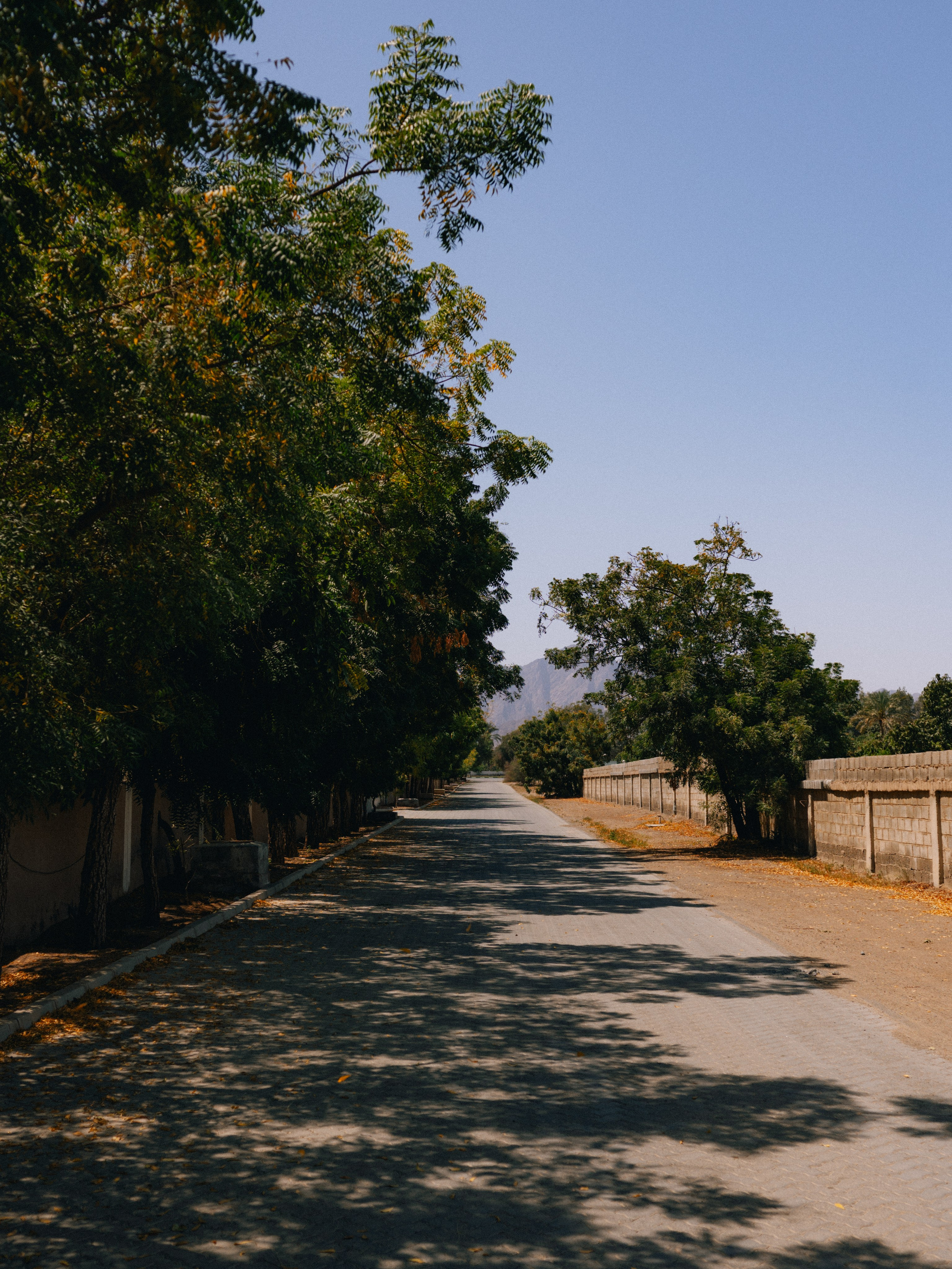 FUJEIRAH. Свадебный и семейный фотограф Никита Корохов