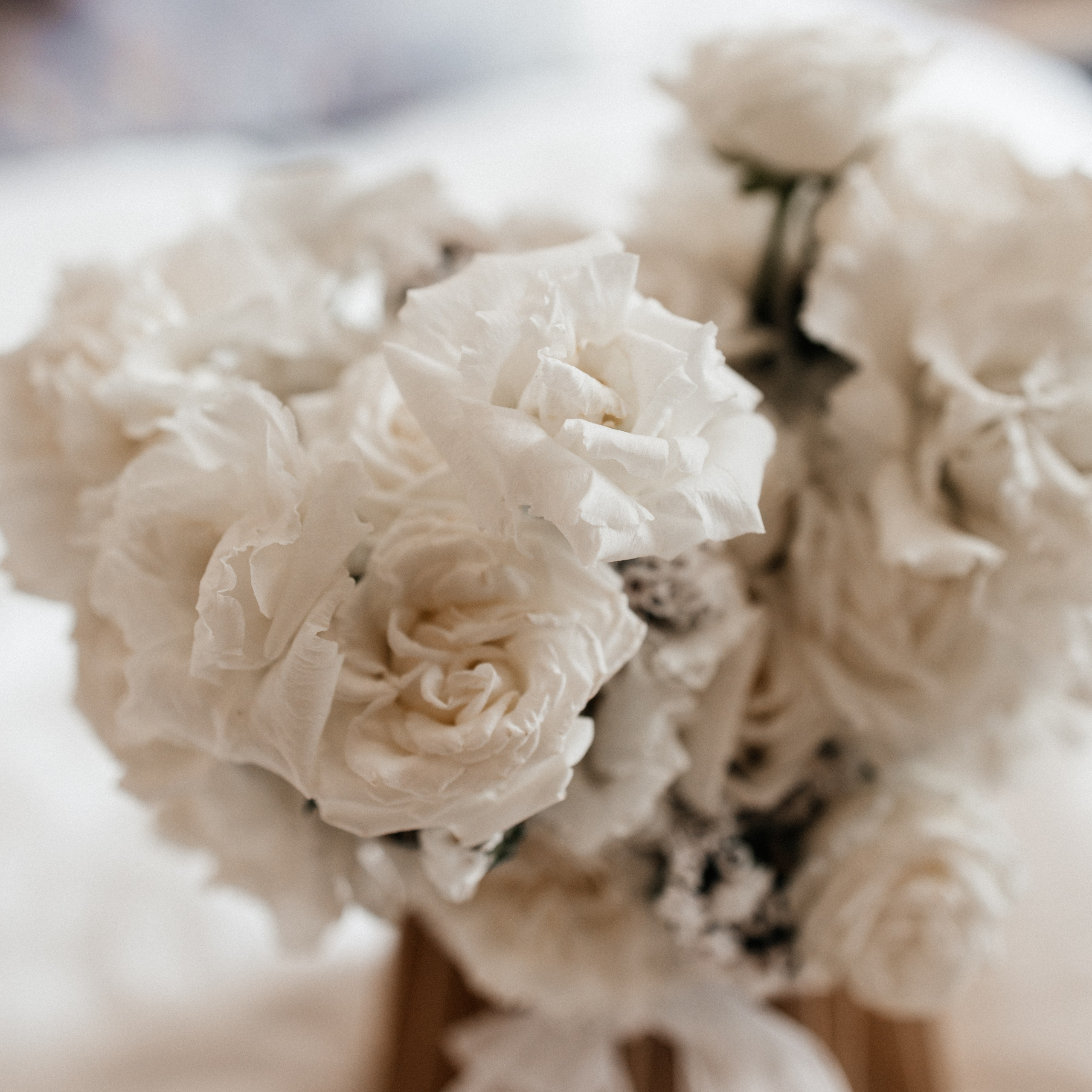 Никита и Ангелина. Свадебный и семейный фотограф в Ростове-на-Дону