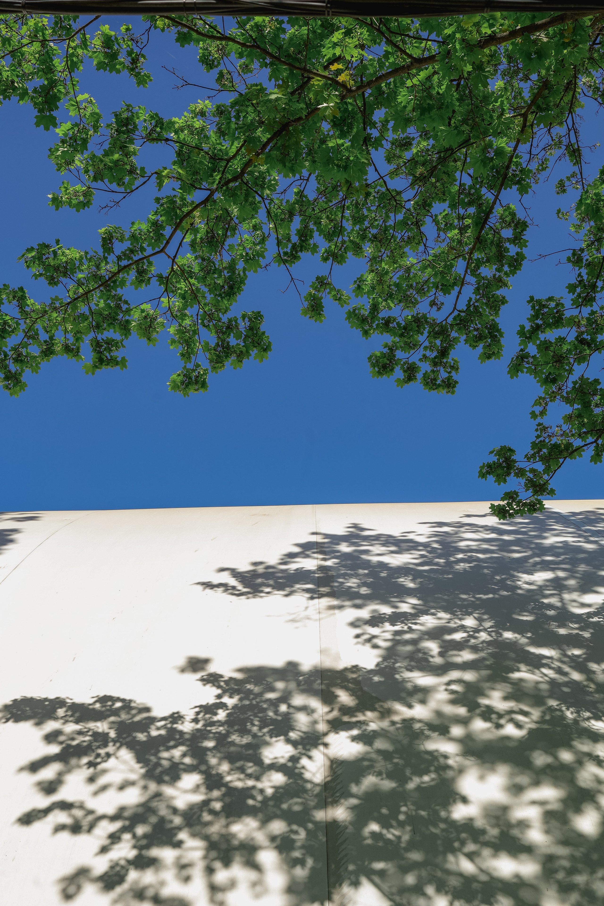 Природа &. Фотохудожник в СПб