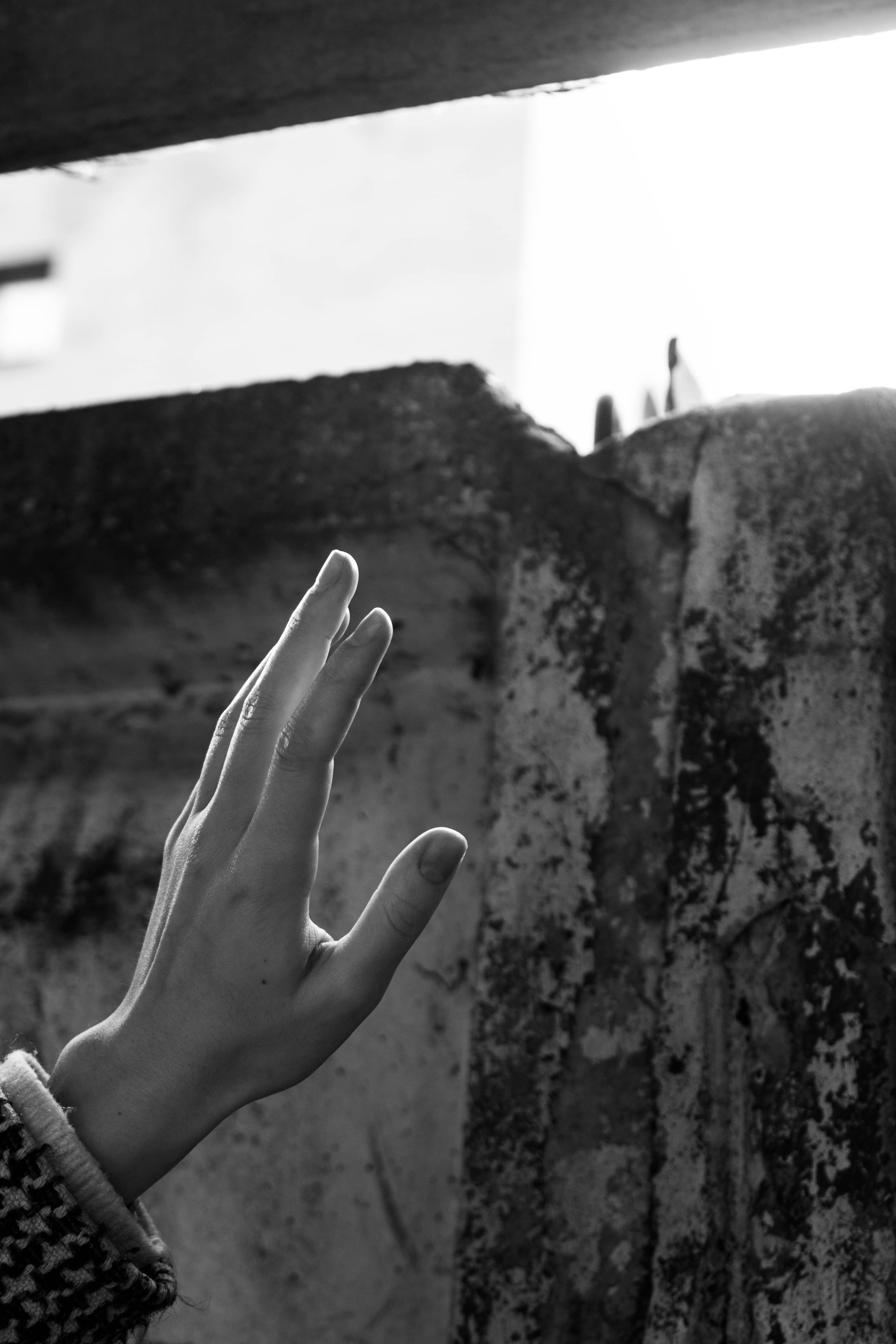 Черно-белая прогулка