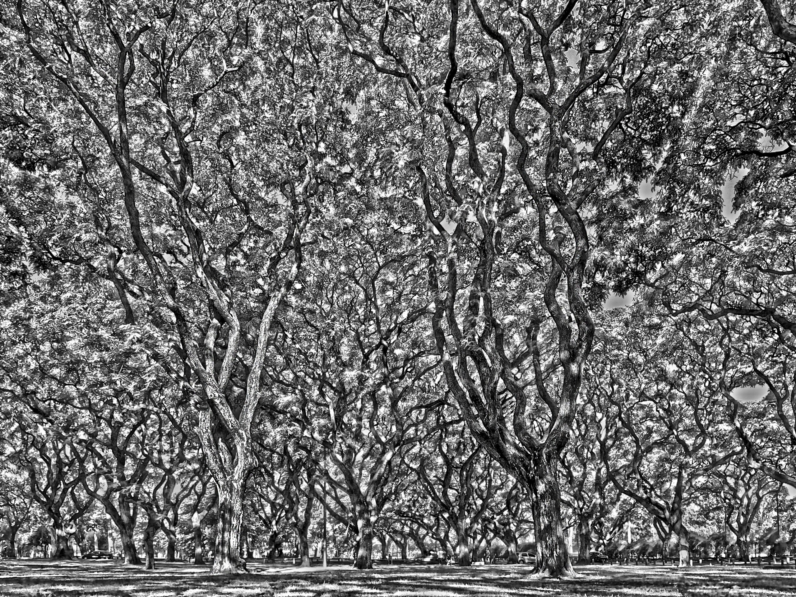 MONOCHROME черно-белое. Семейный и детский фотограф в Буэнос-Айресе Перевозчикова Анна Fotógrafa de familia y niños en Buenos Aires Perevozchikova Anna