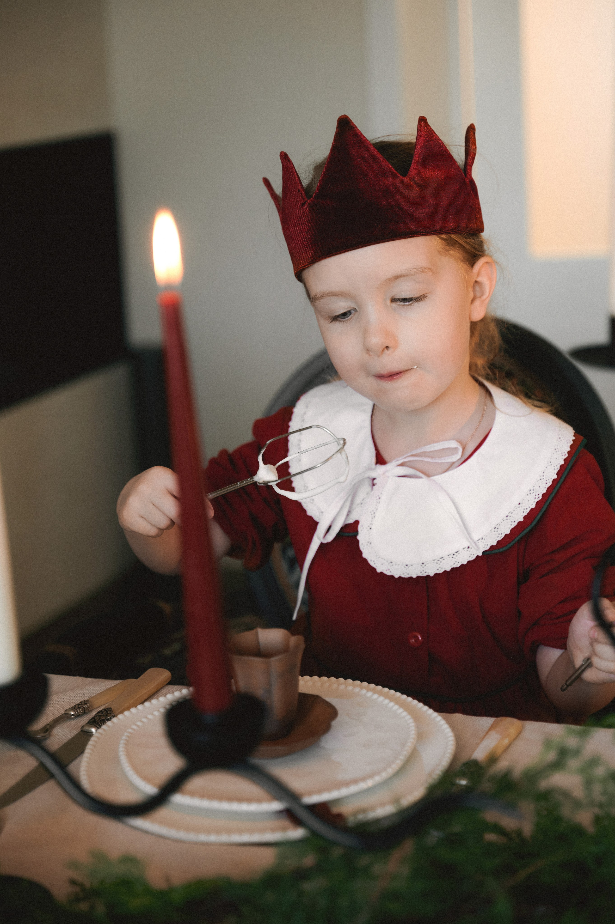 Рождество дома. Фотограф Регина С