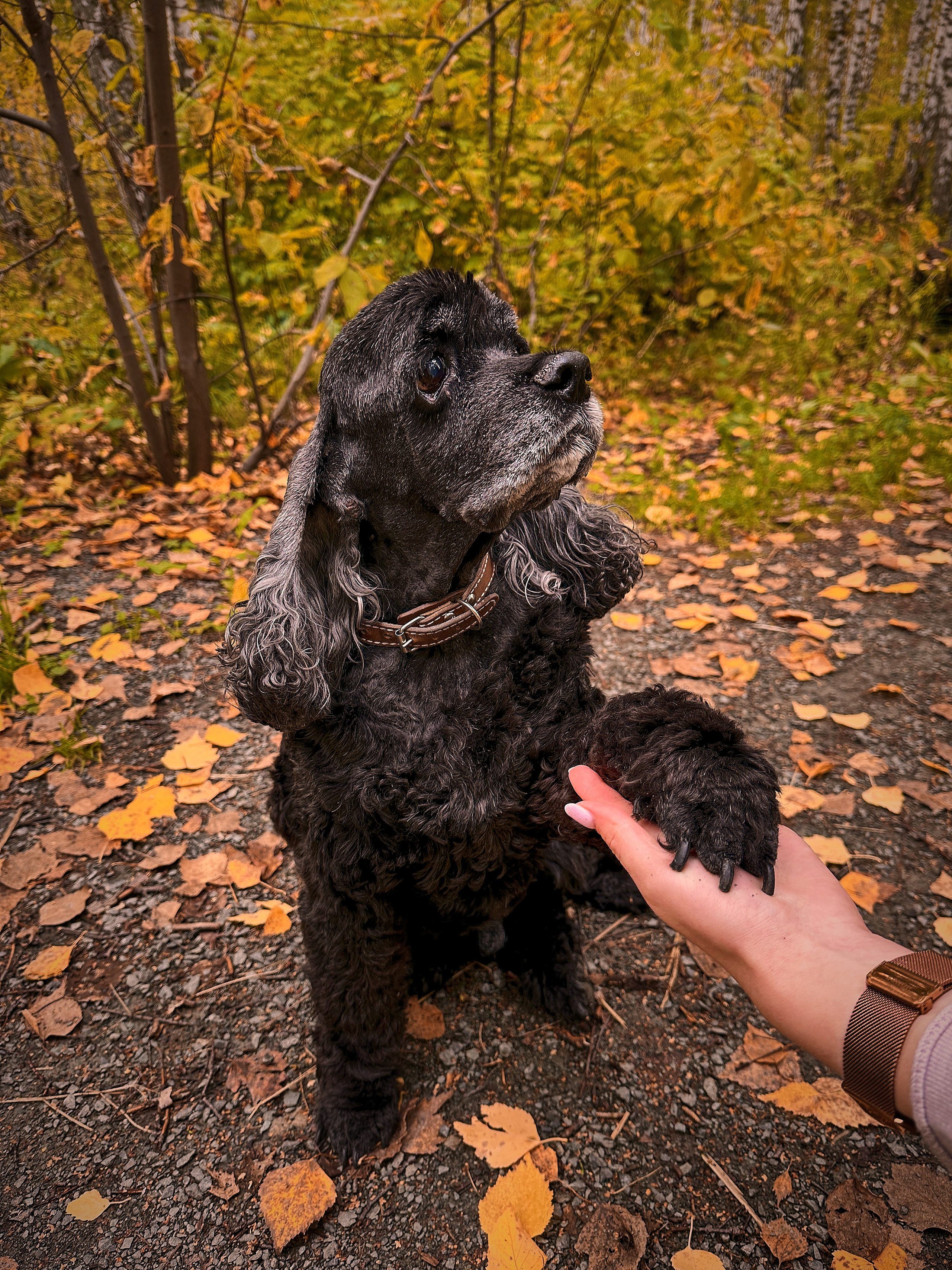 Animals. Danna Dark. Фотограф | Красноярск