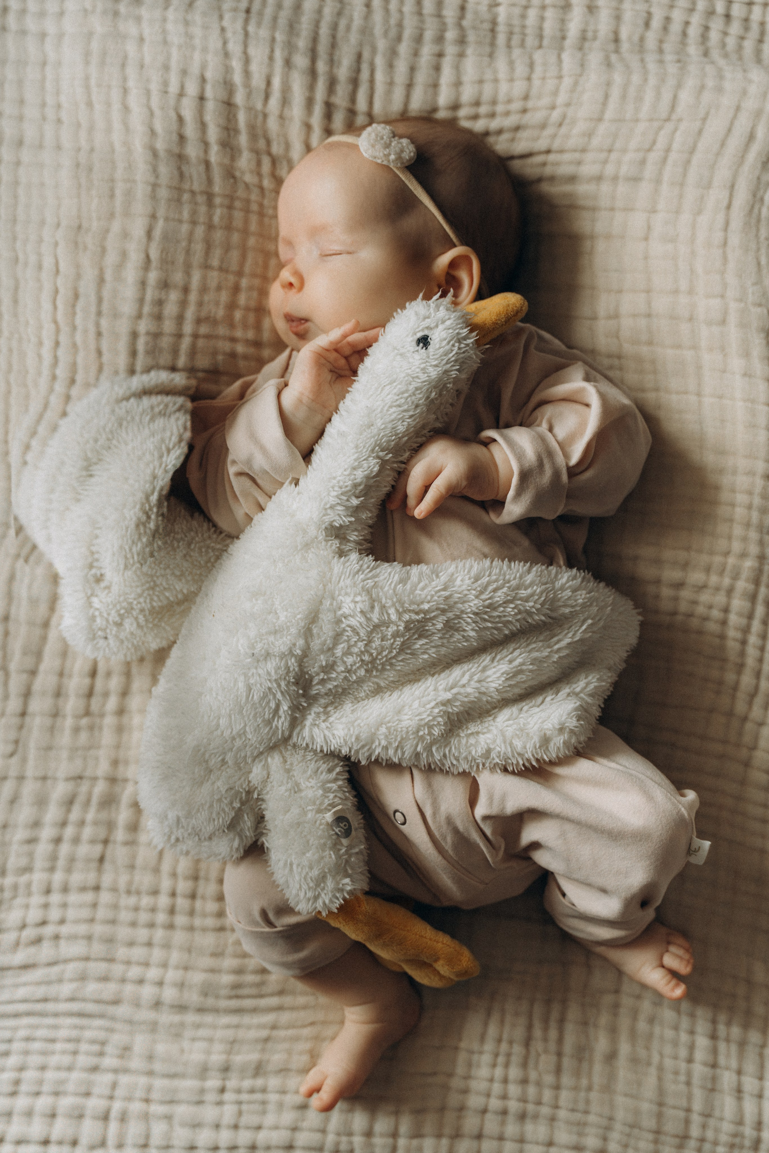 Ньюборн. Фотограф в Москве. Татьяна Родовская